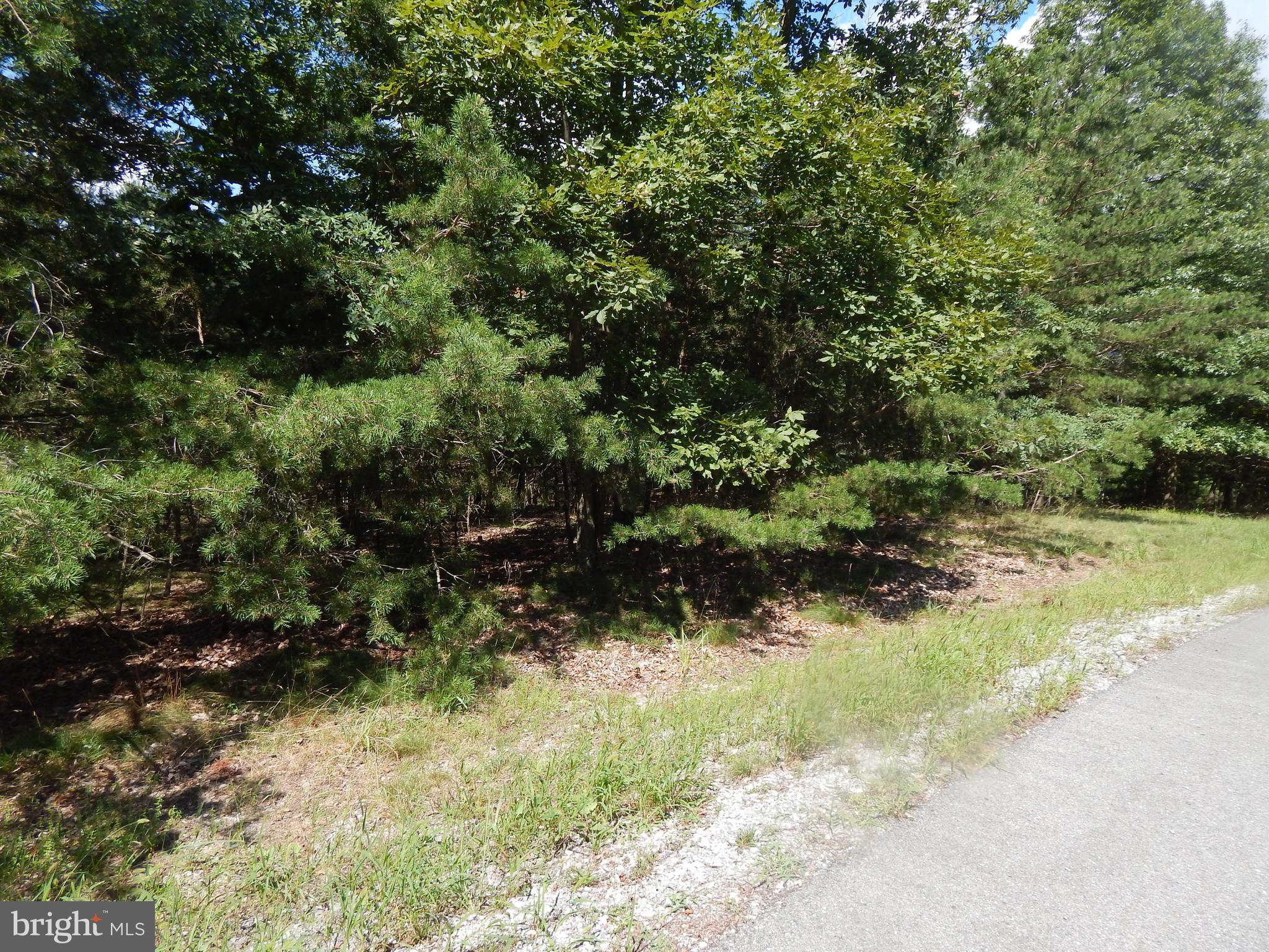 CACAPON SOUTH - Land