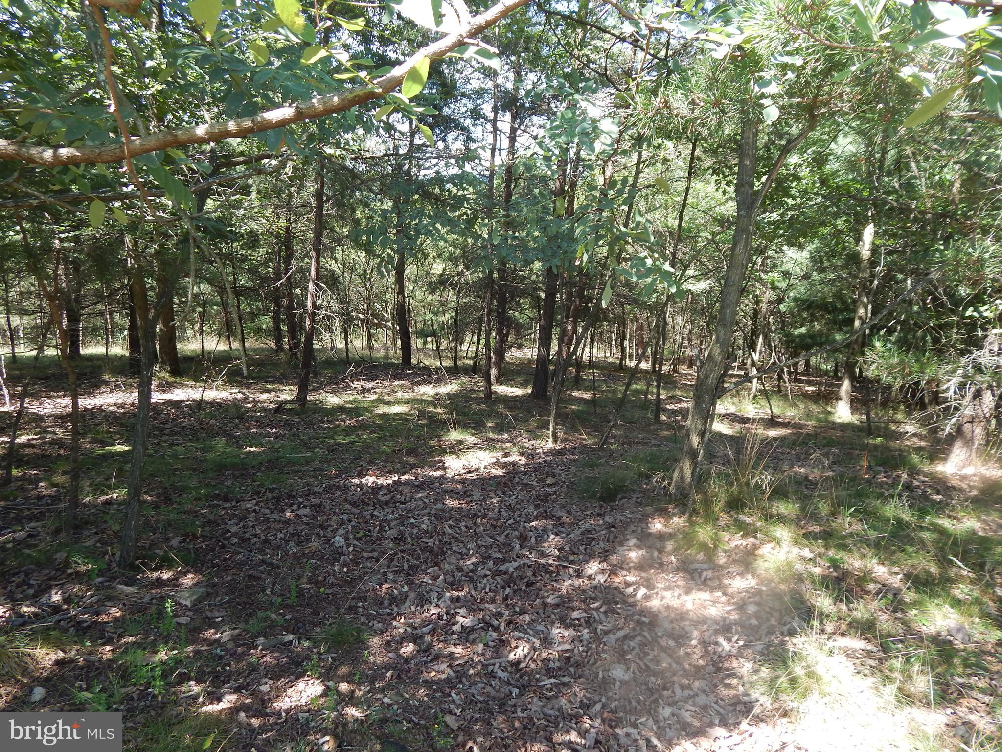 CACAPON SOUTH - Land