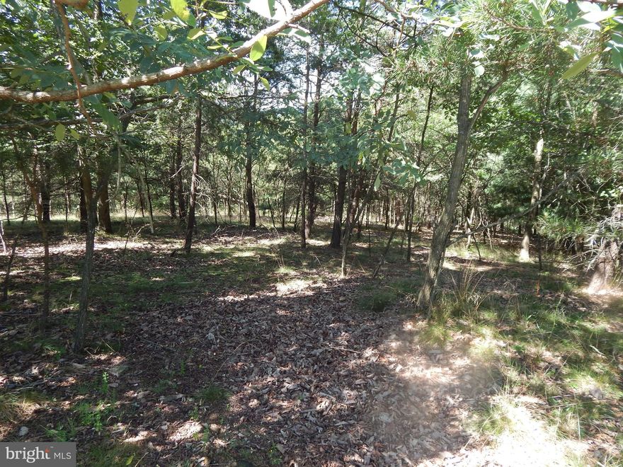 Situated just 10 miles south of Berkeley Springs, this 4.049 Acre parcel is situated in the award winning Cacapon South community.  Paved road frontage with a lot offering both level and sloped terrain.  Winter views but could have beautiful mountain views year round with some select cutting or topping of trees.  Less than a mile from Cacapon State Park, which offers 6,000 acres includes 20 miles of hiking trails, 18 hole golf course, Restaurant, picnic tables, pavillions, playground, tennis and volleyball courts, ball field,  lake for swimming and fishing, and horseback riding.  Recent renocations have added new indoor/outdoor dining, patio area, fire pit, indoor pool and a spa,