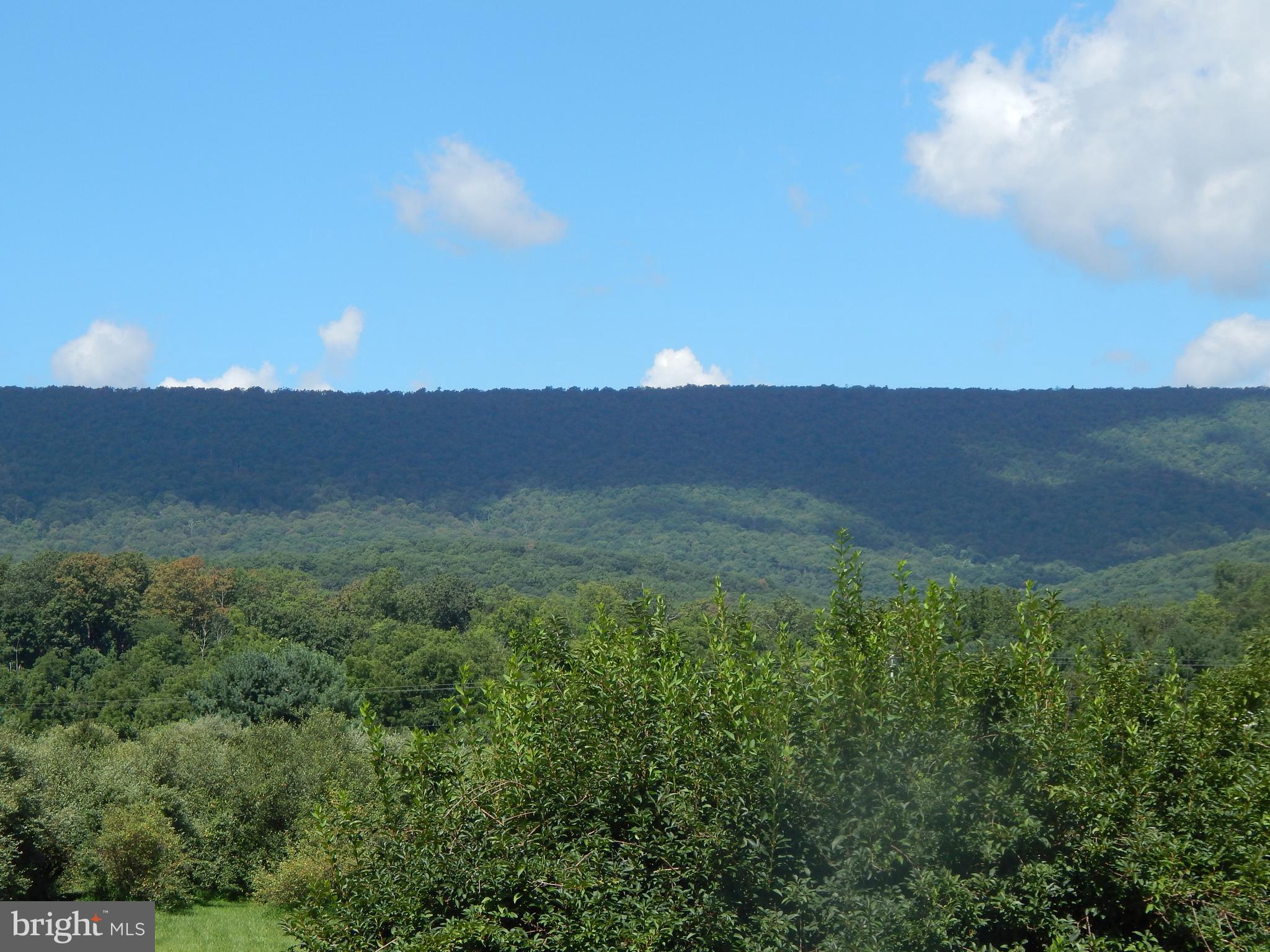 CACAPON SOUTH - Land