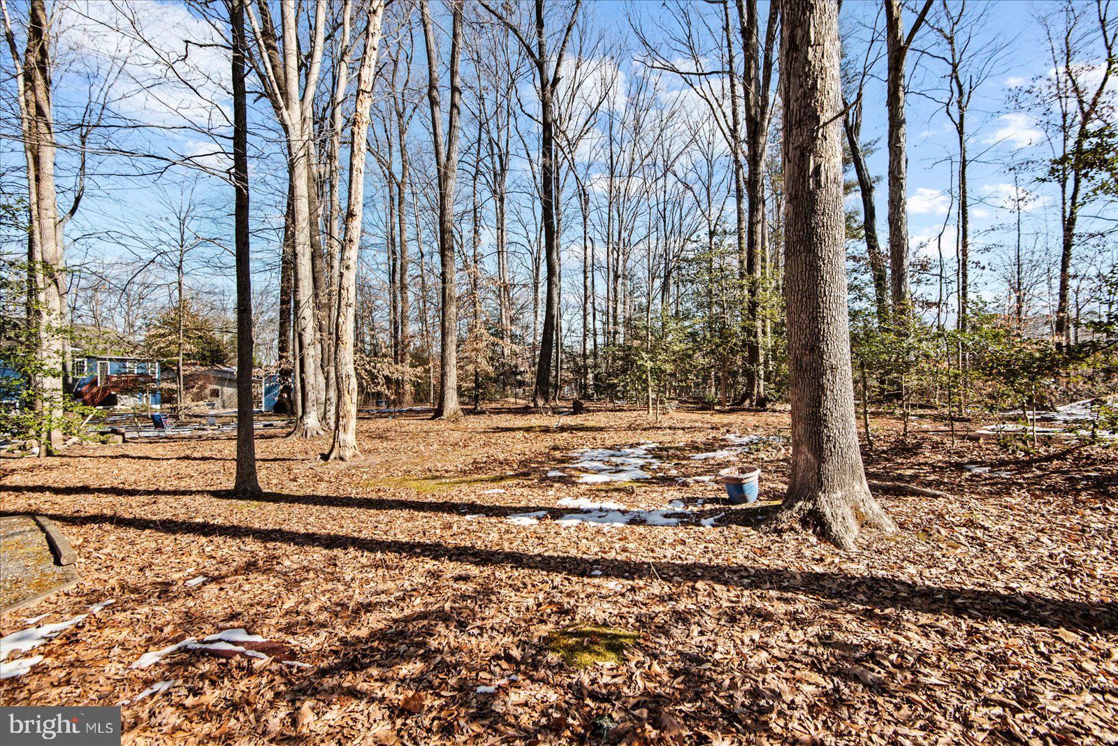 LAKE OF THE WOODS - Residential