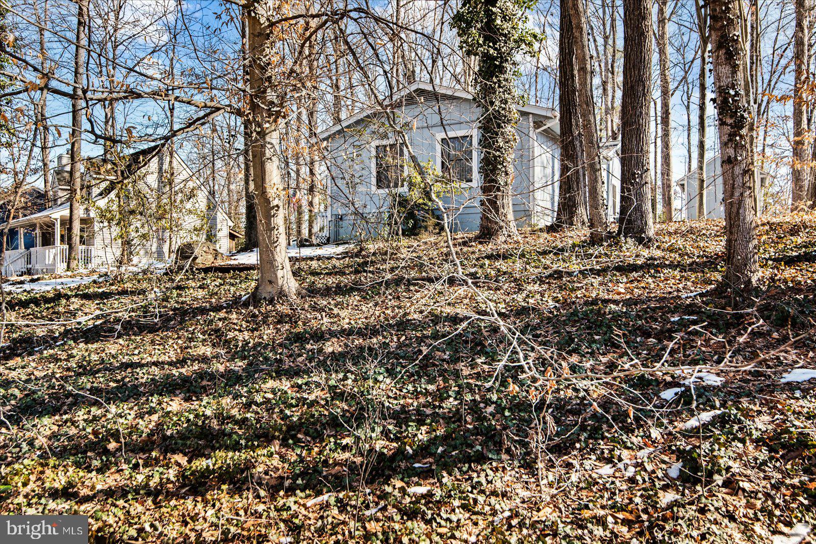 LAKE OF THE WOODS - Residential