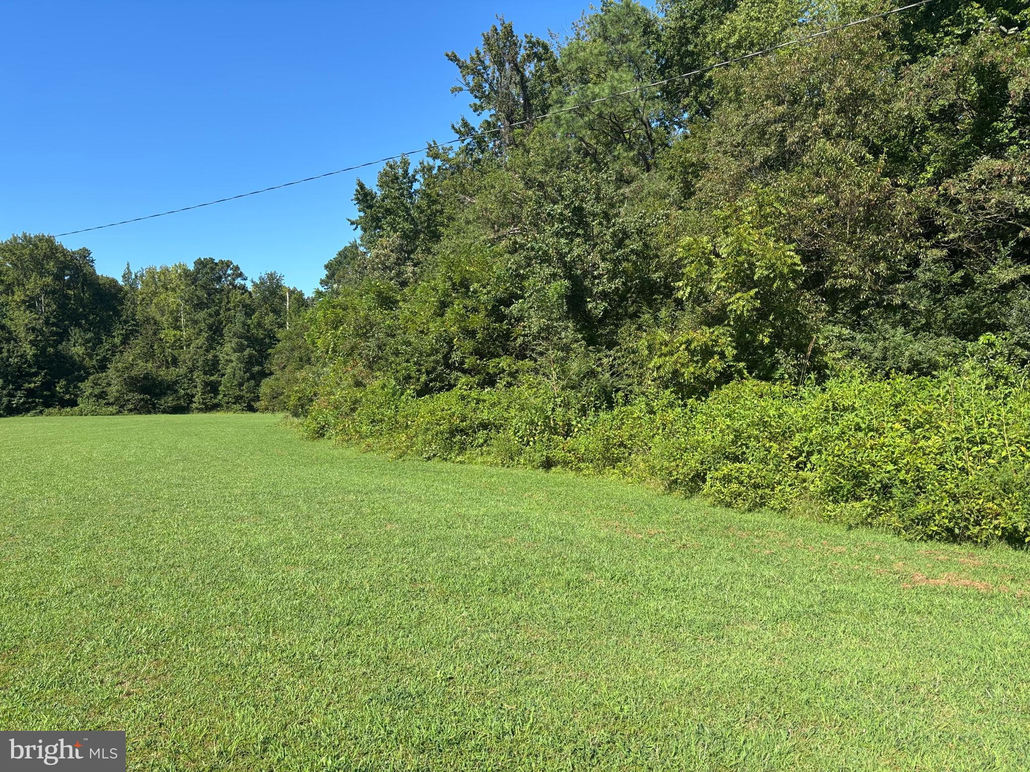 STONEY KNOLL