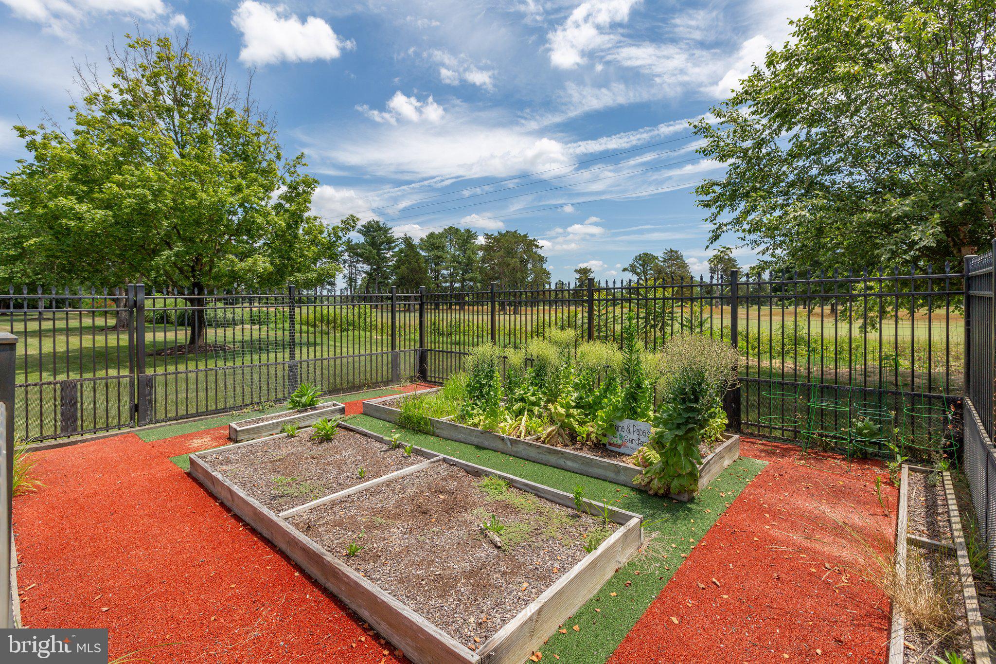 NORTH CLUB - Residential