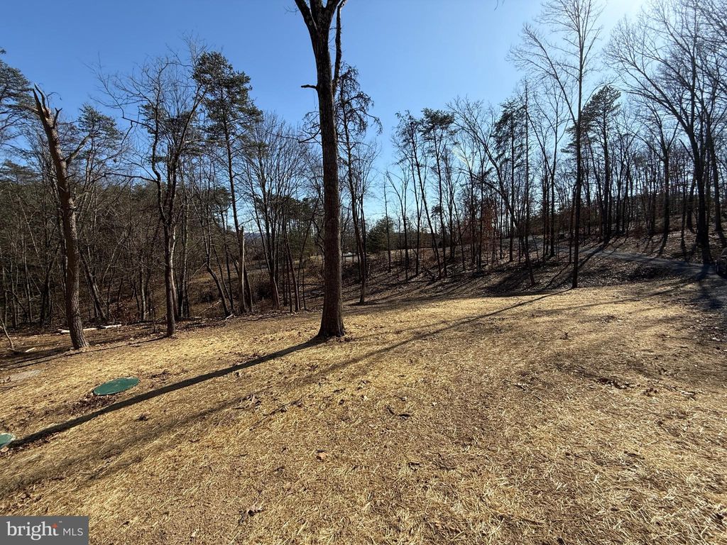 listing image 49