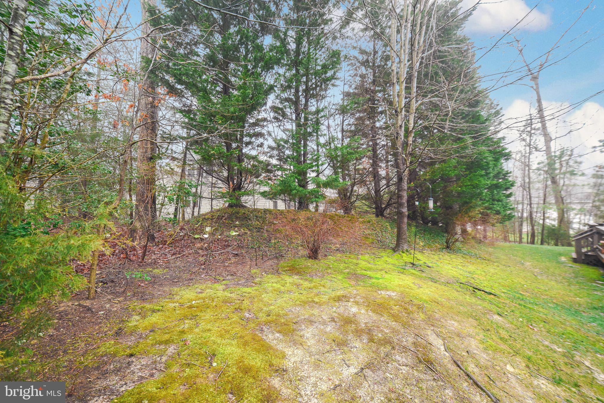 ORCHID PARK OF WILDEWOOD - Residential