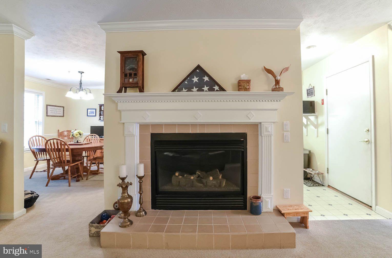 ORCHID PARK OF WILDEWOOD - Residential