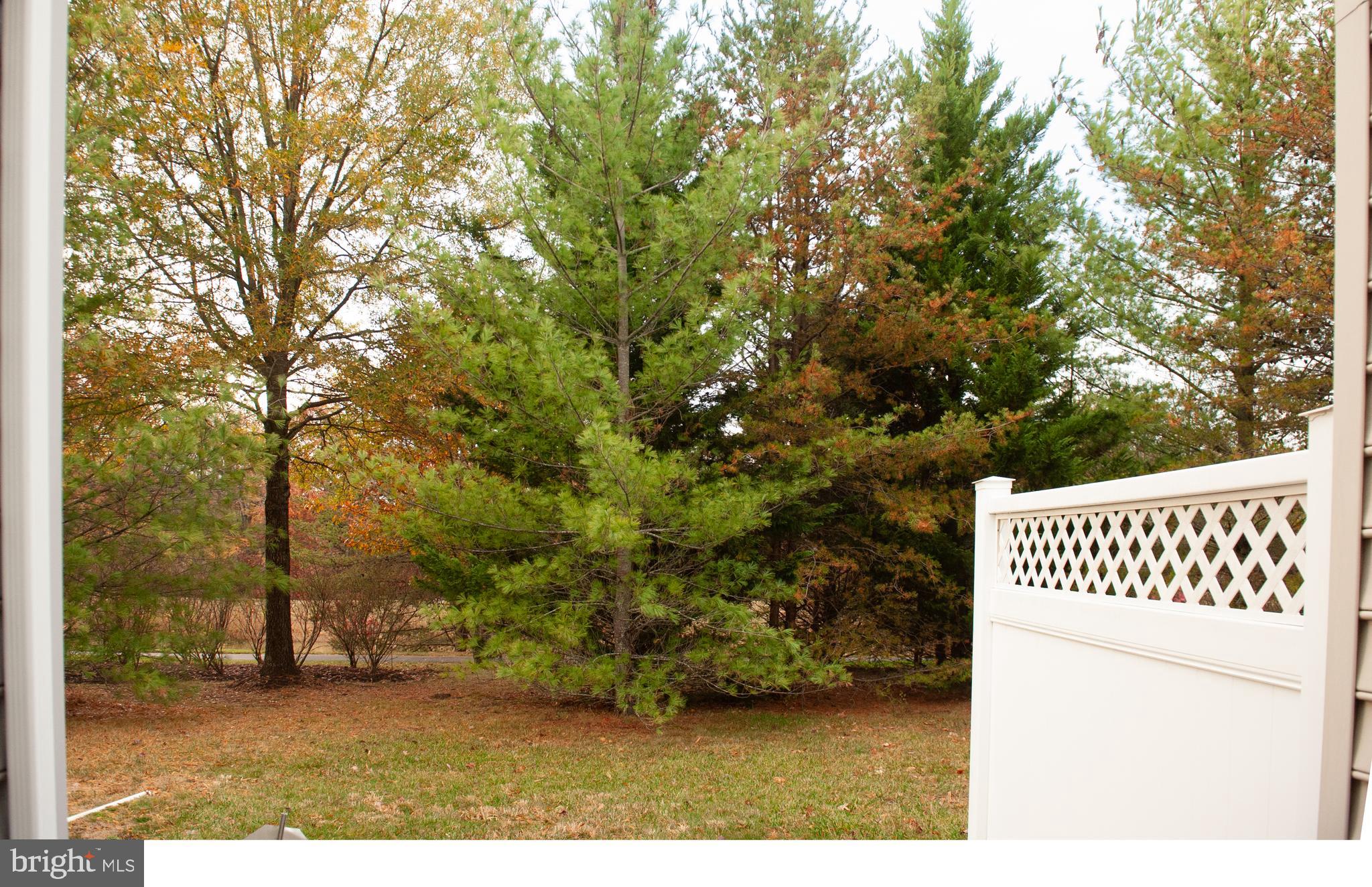 VICTORIA FALLS - Residential Lease