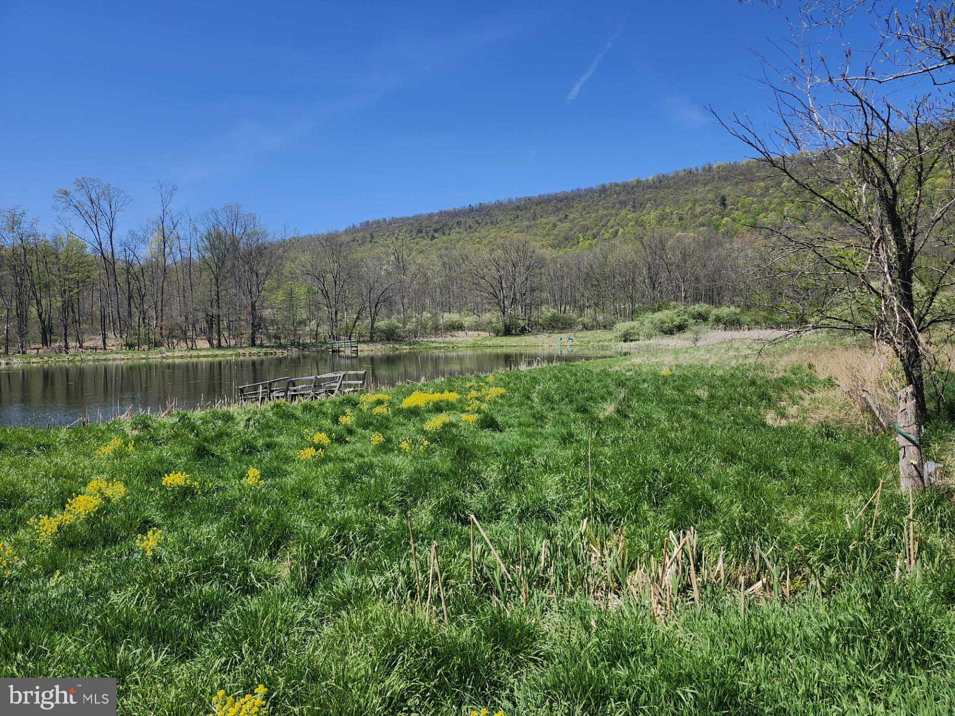 NONE AVAILABLE - Farm