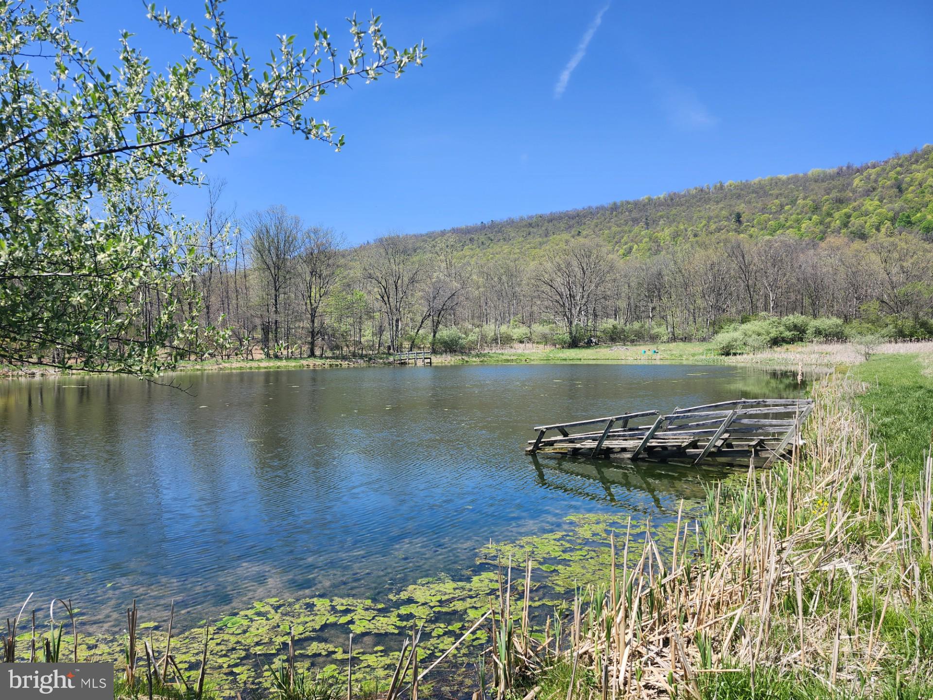 NONE AVAILABLE - Farm