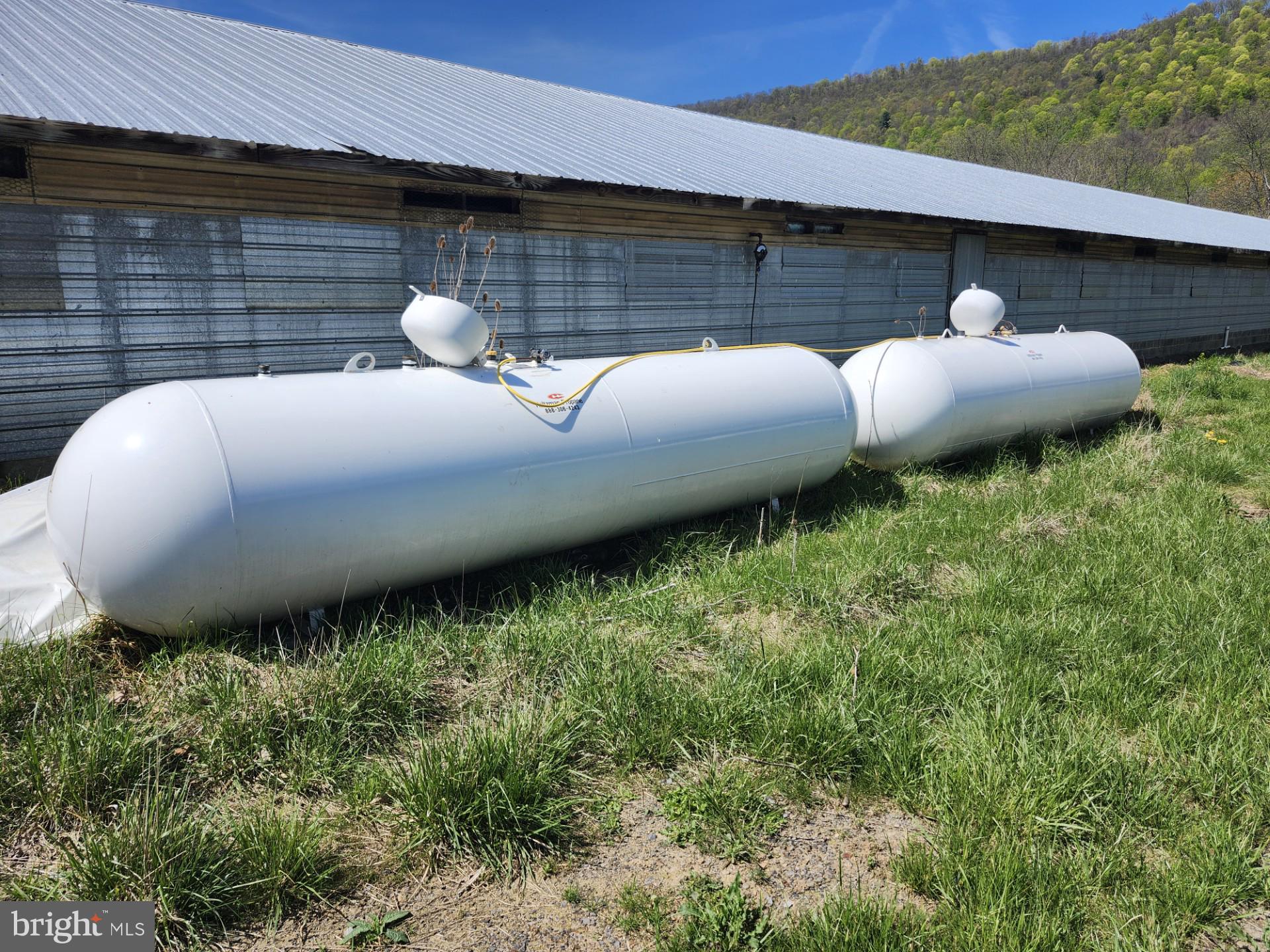 NONE AVAILABLE - Farm