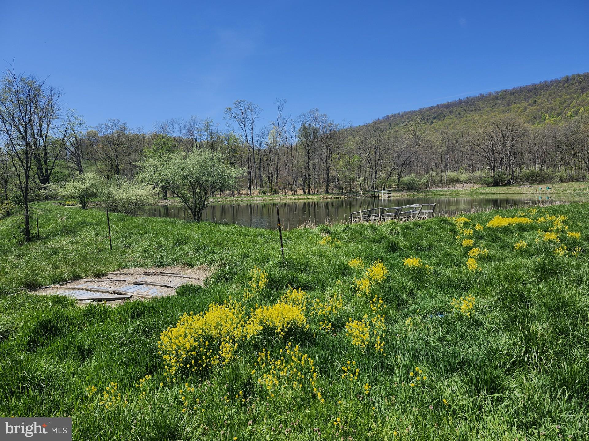 NONE AVAILABLE - Farm