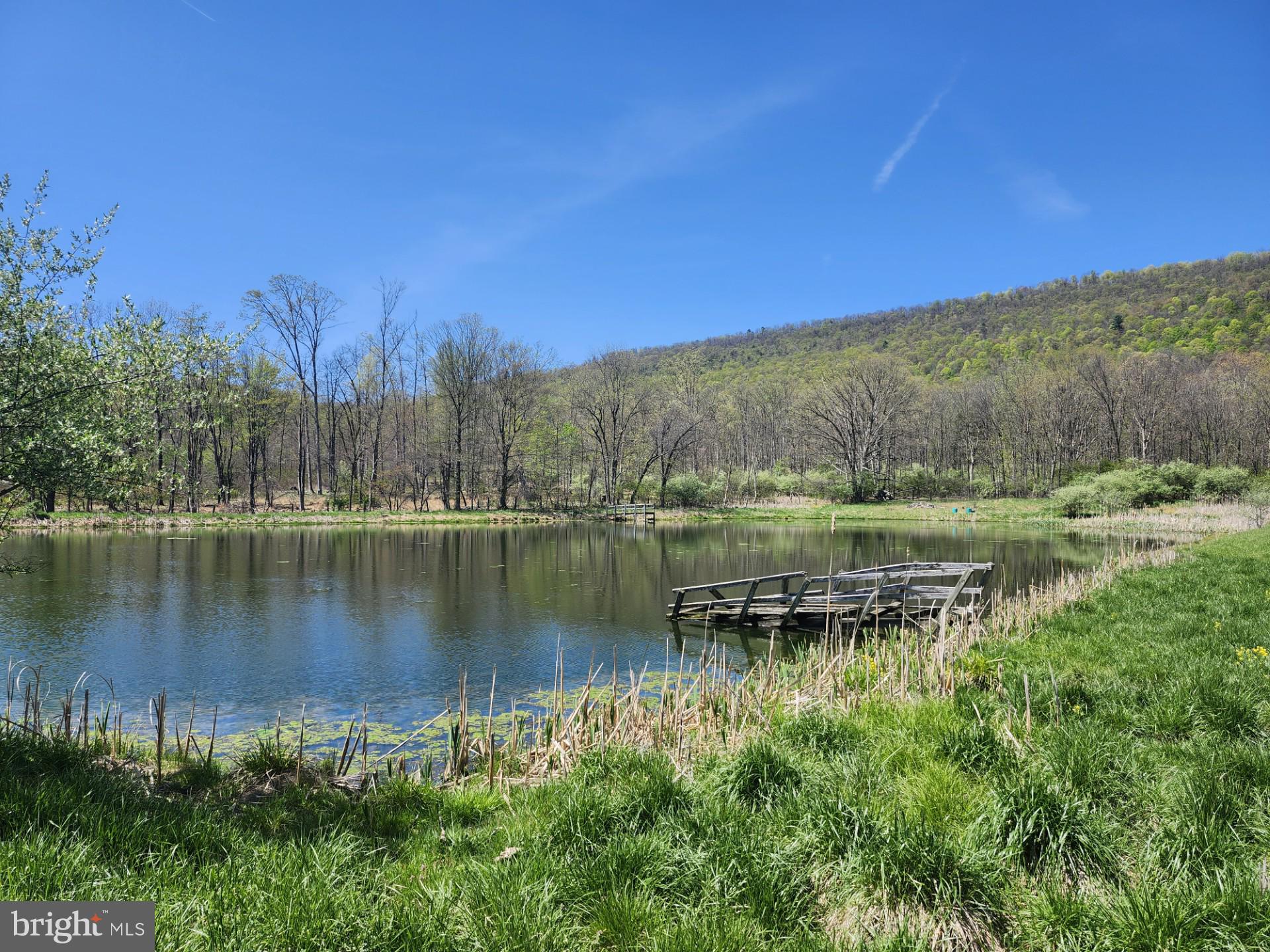 NONE AVAILABLE - Farm