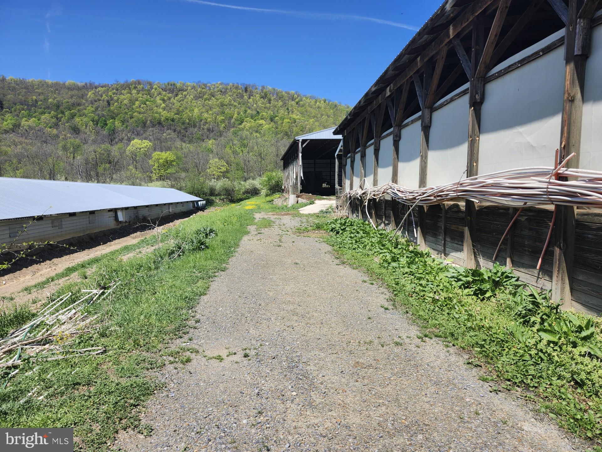 NONE AVAILABLE - Farm