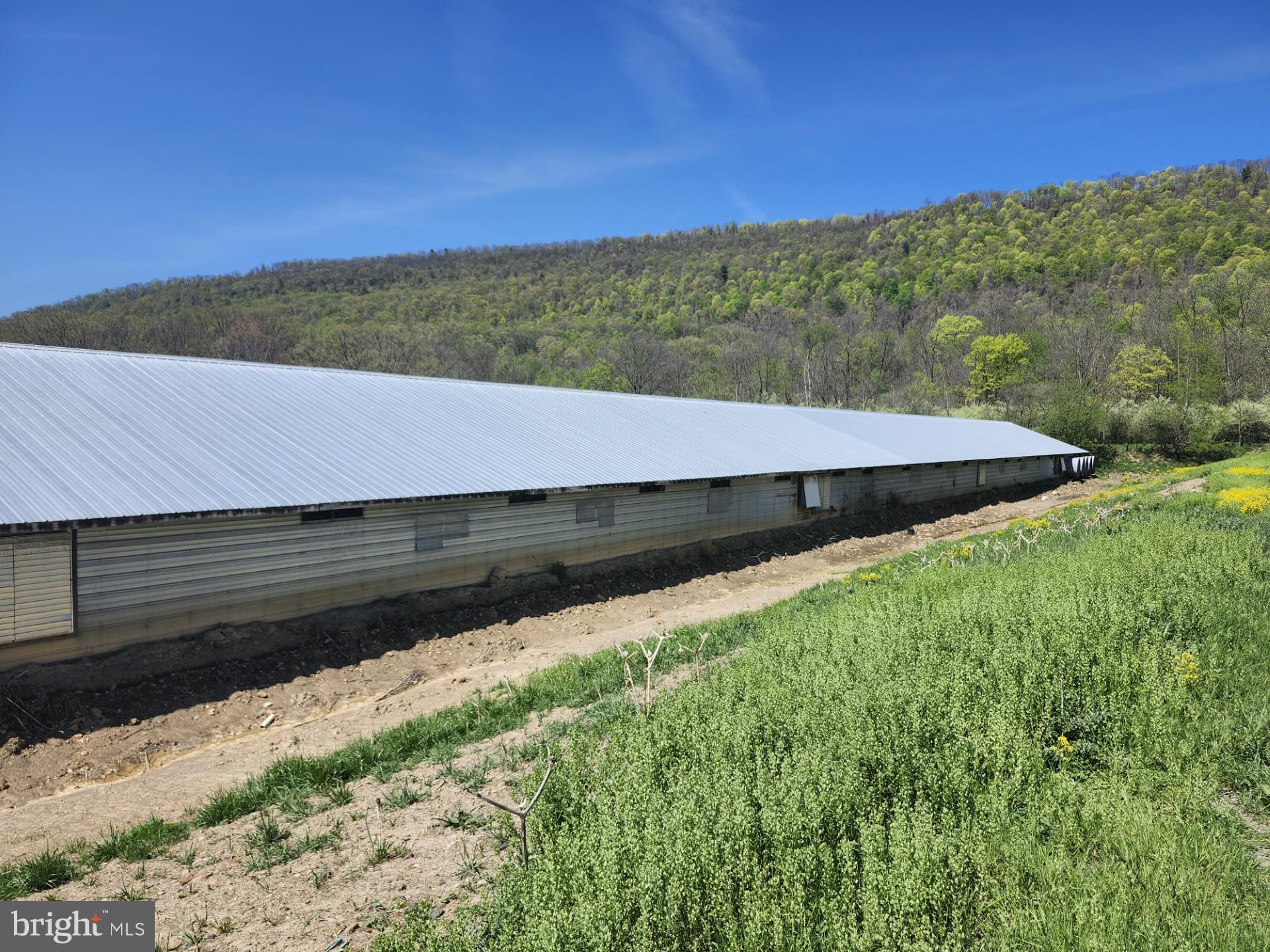 NONE AVAILABLE - Farm