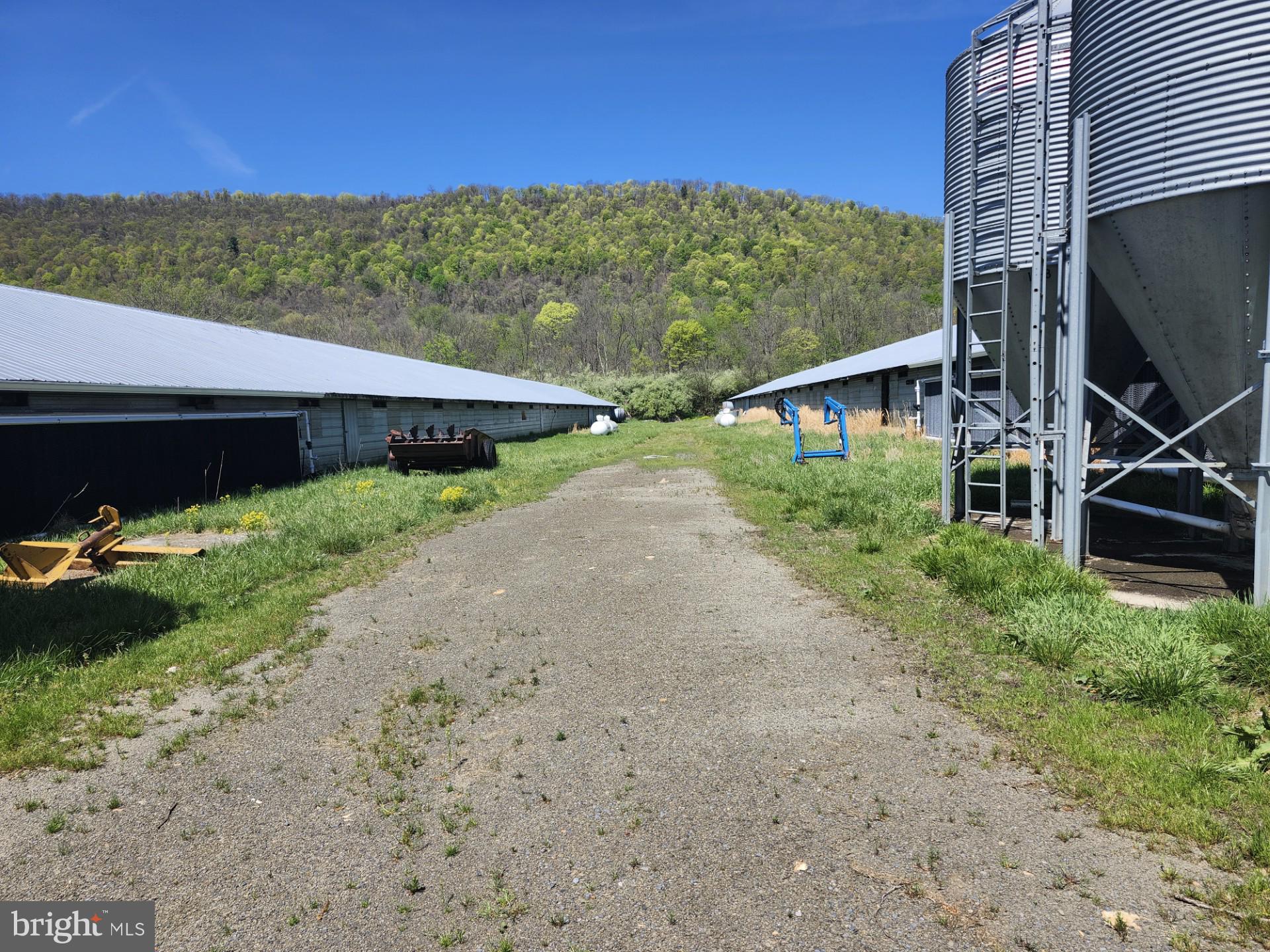 NONE AVAILABLE - Farm