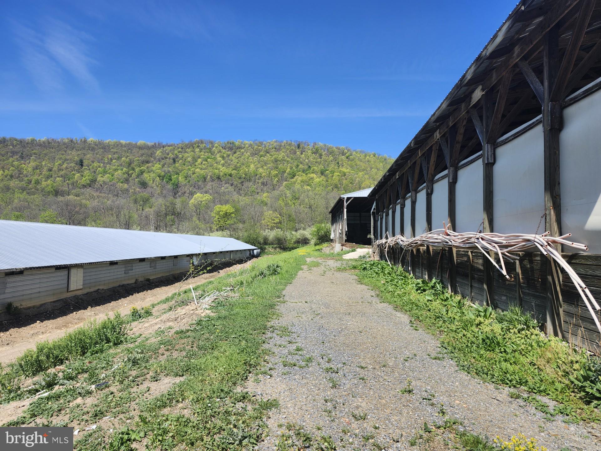 NONE AVAILABLE - Farm