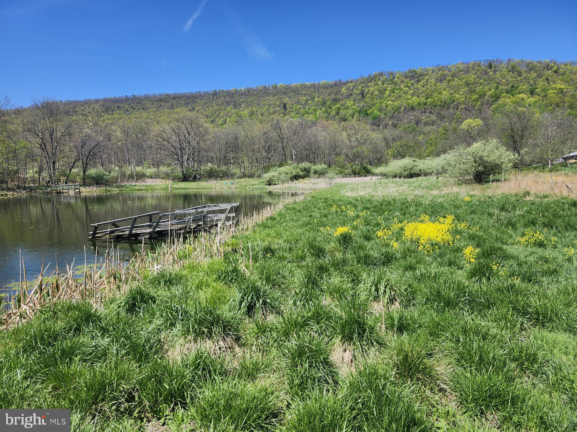 NONE AVAILABLE - Farm