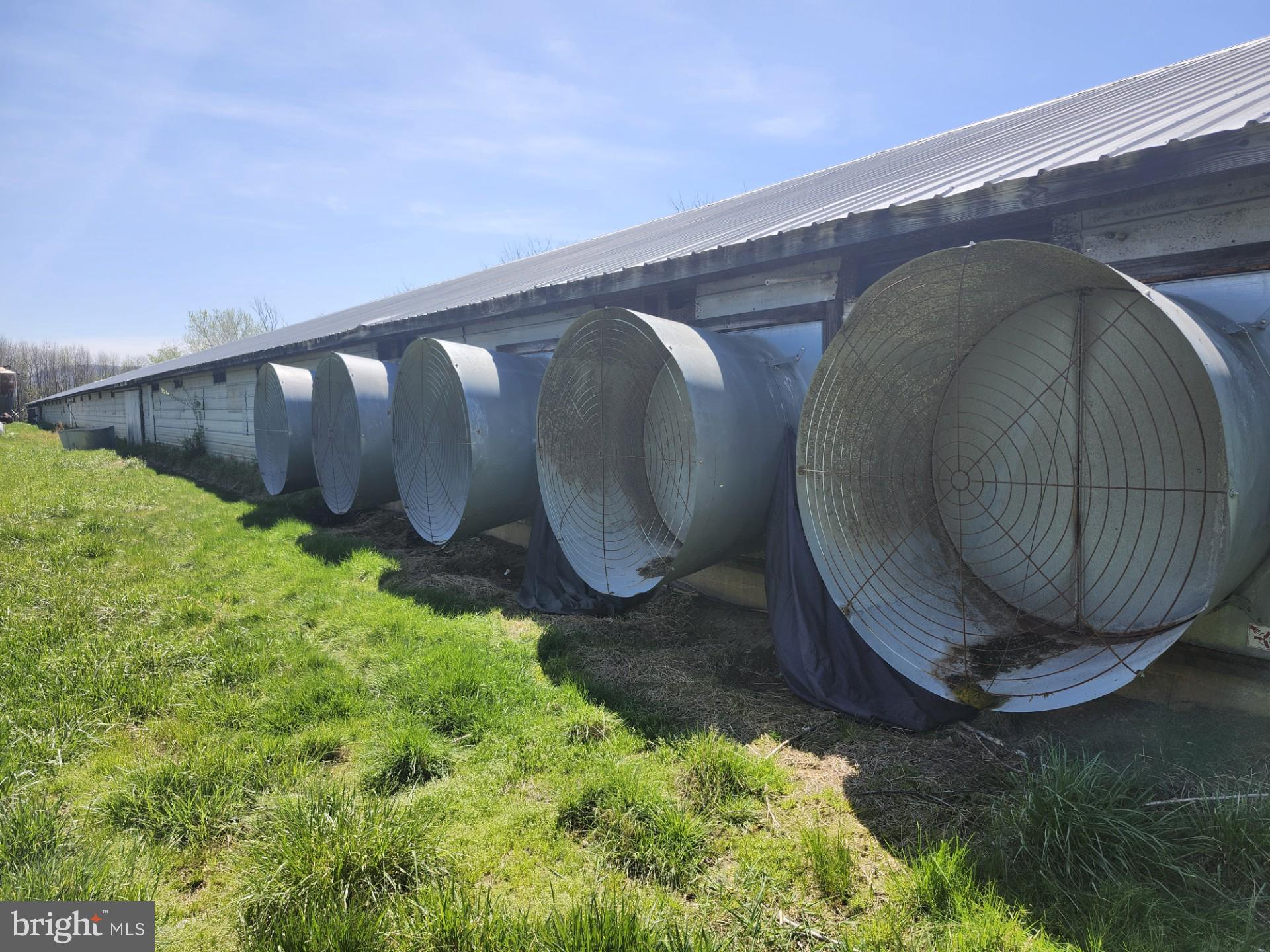 NONE AVAILABLE - Farm