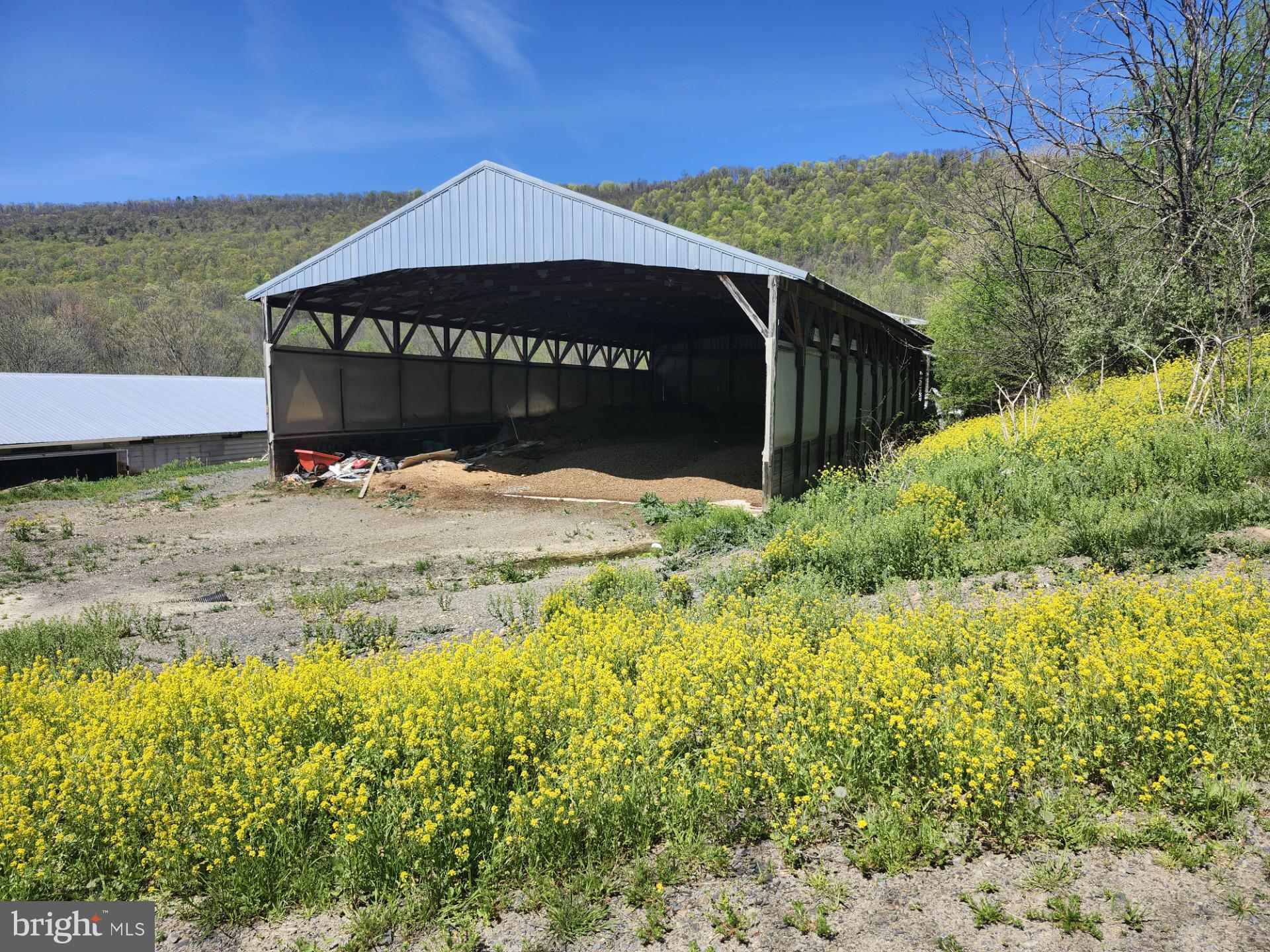 NONE AVAILABLE - Farm