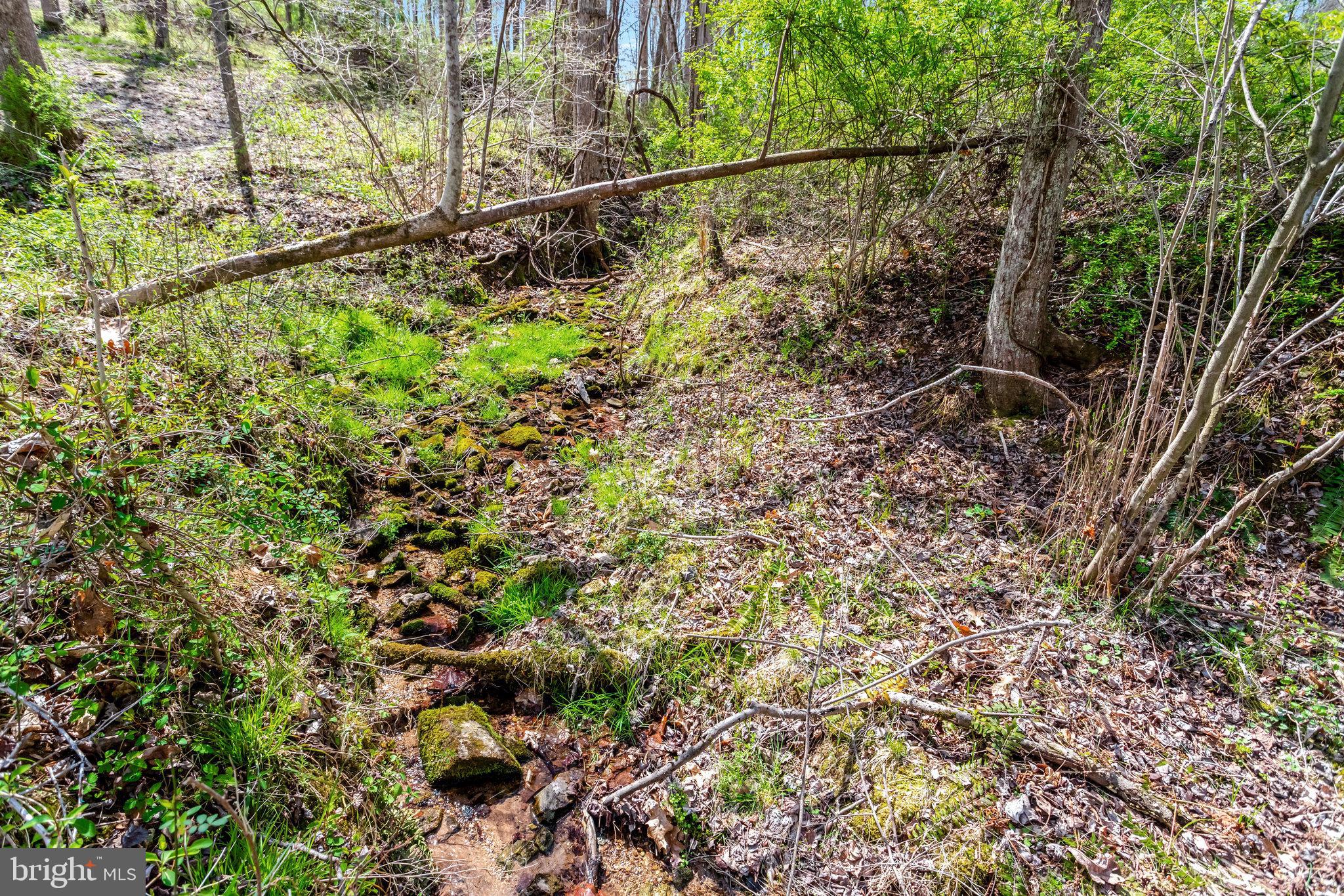 ORLEAN - Residential