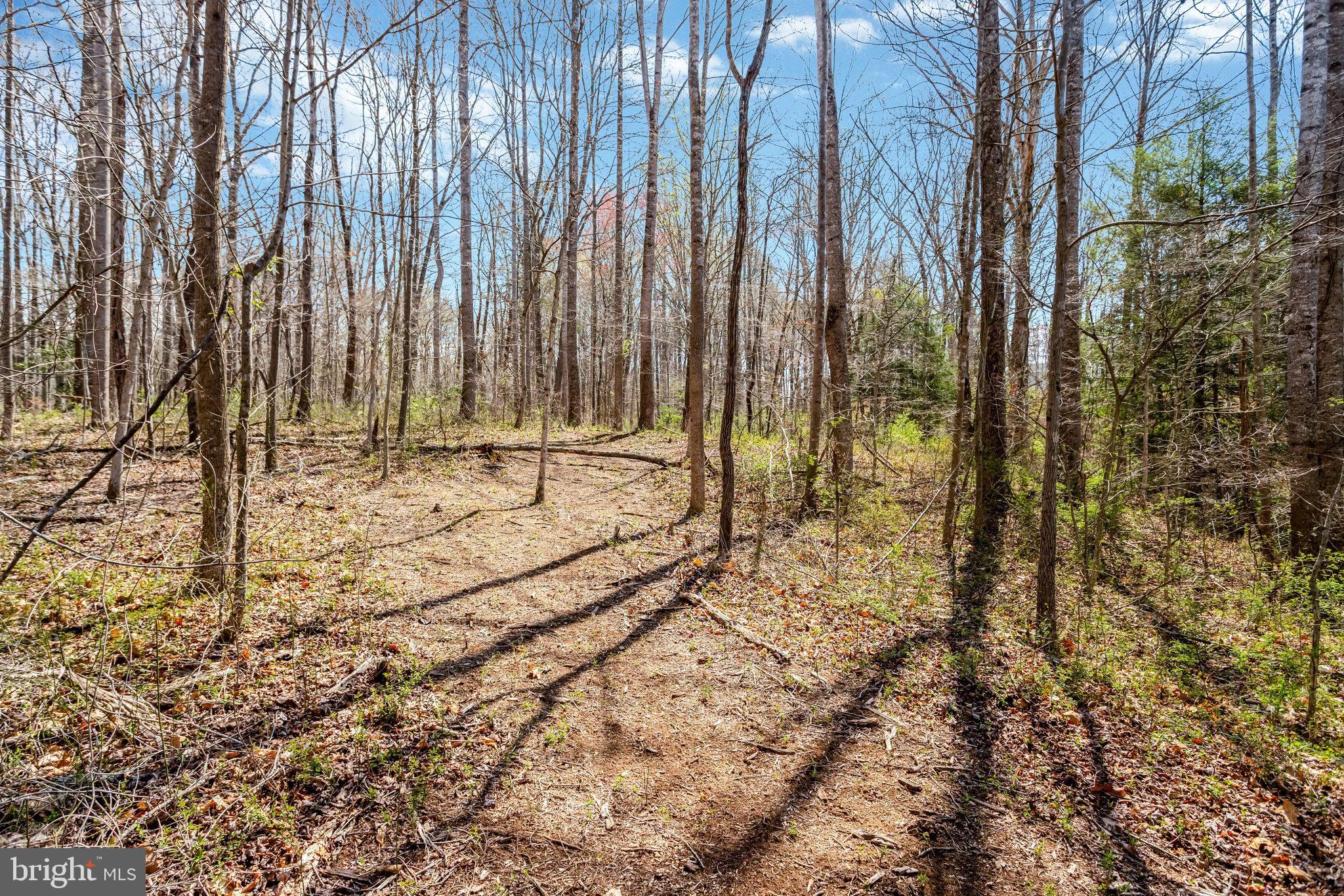 ORLEAN - Residential