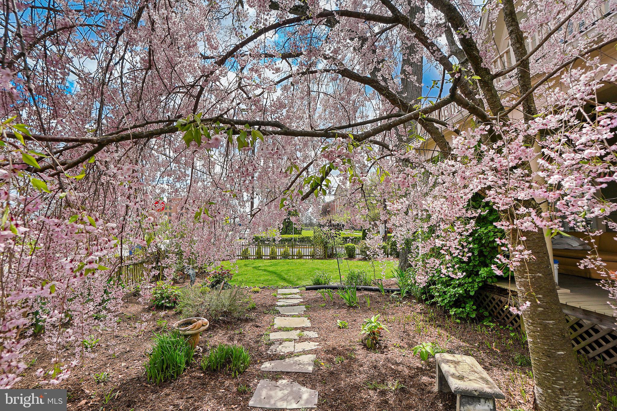 TAKOMA PARK - Residential