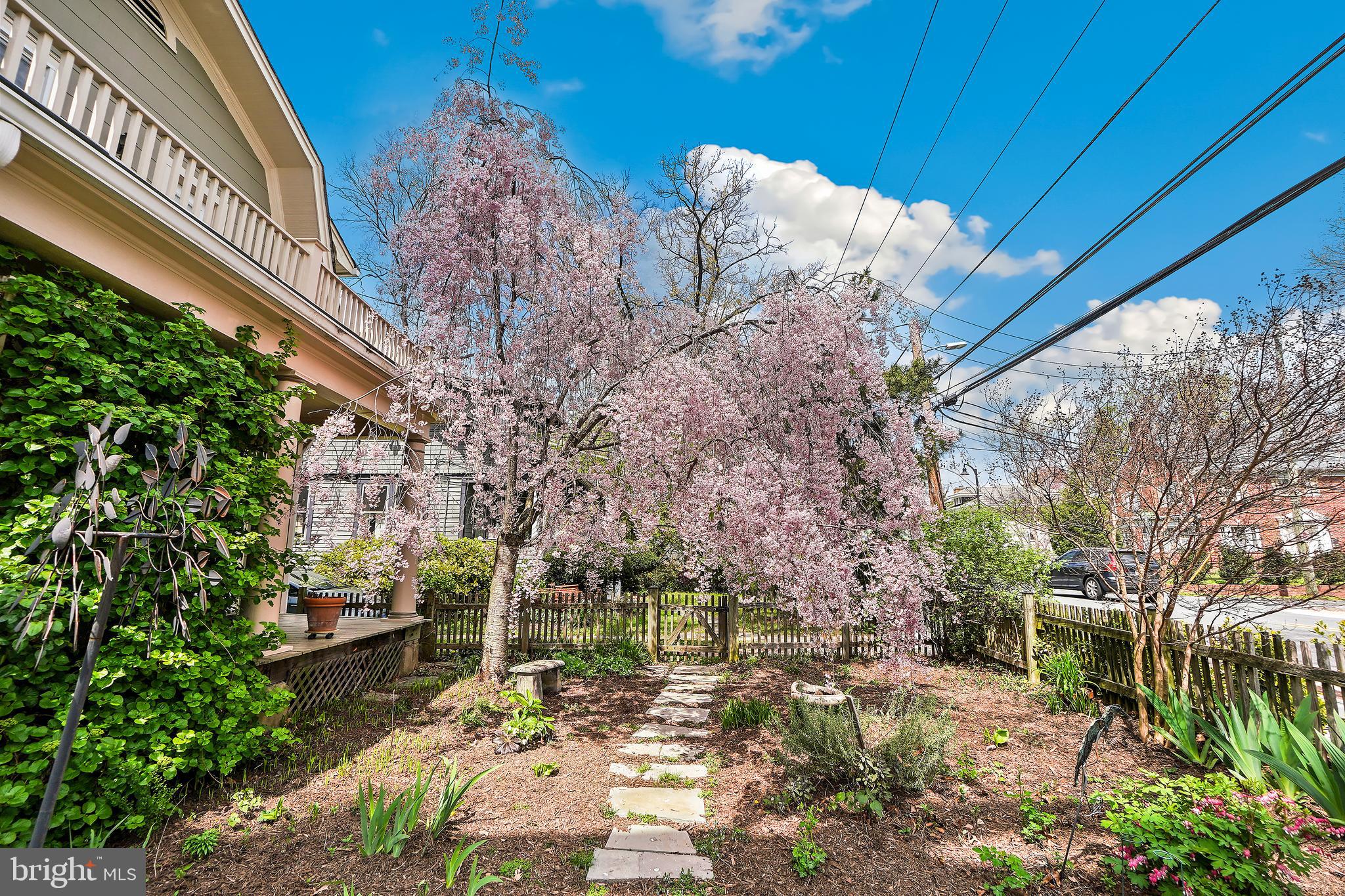 TAKOMA PARK - Residential