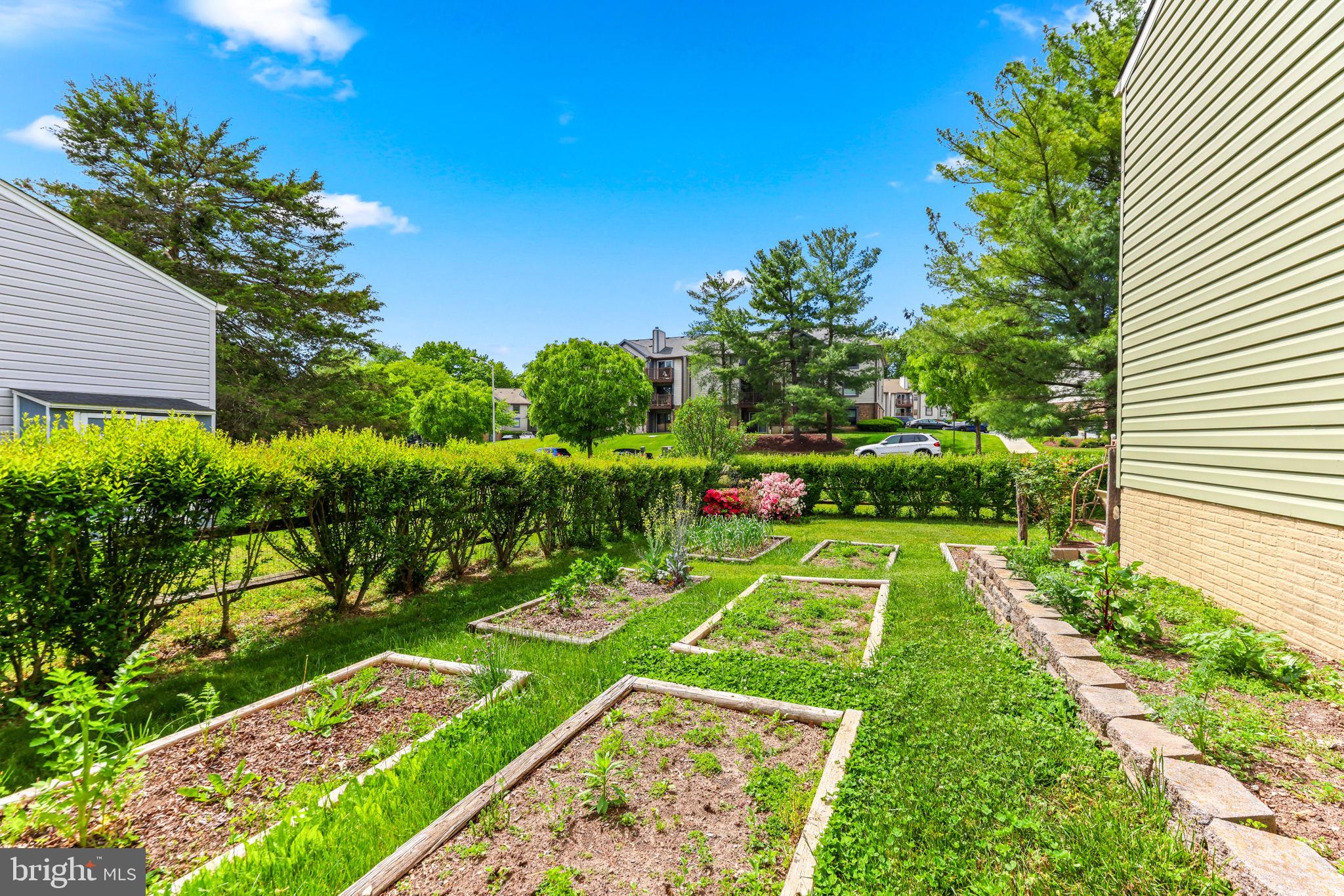 DAMASCUS TERRACE - Residential