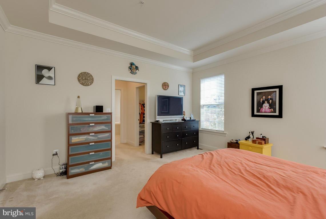 BROAD CREEK - Residential