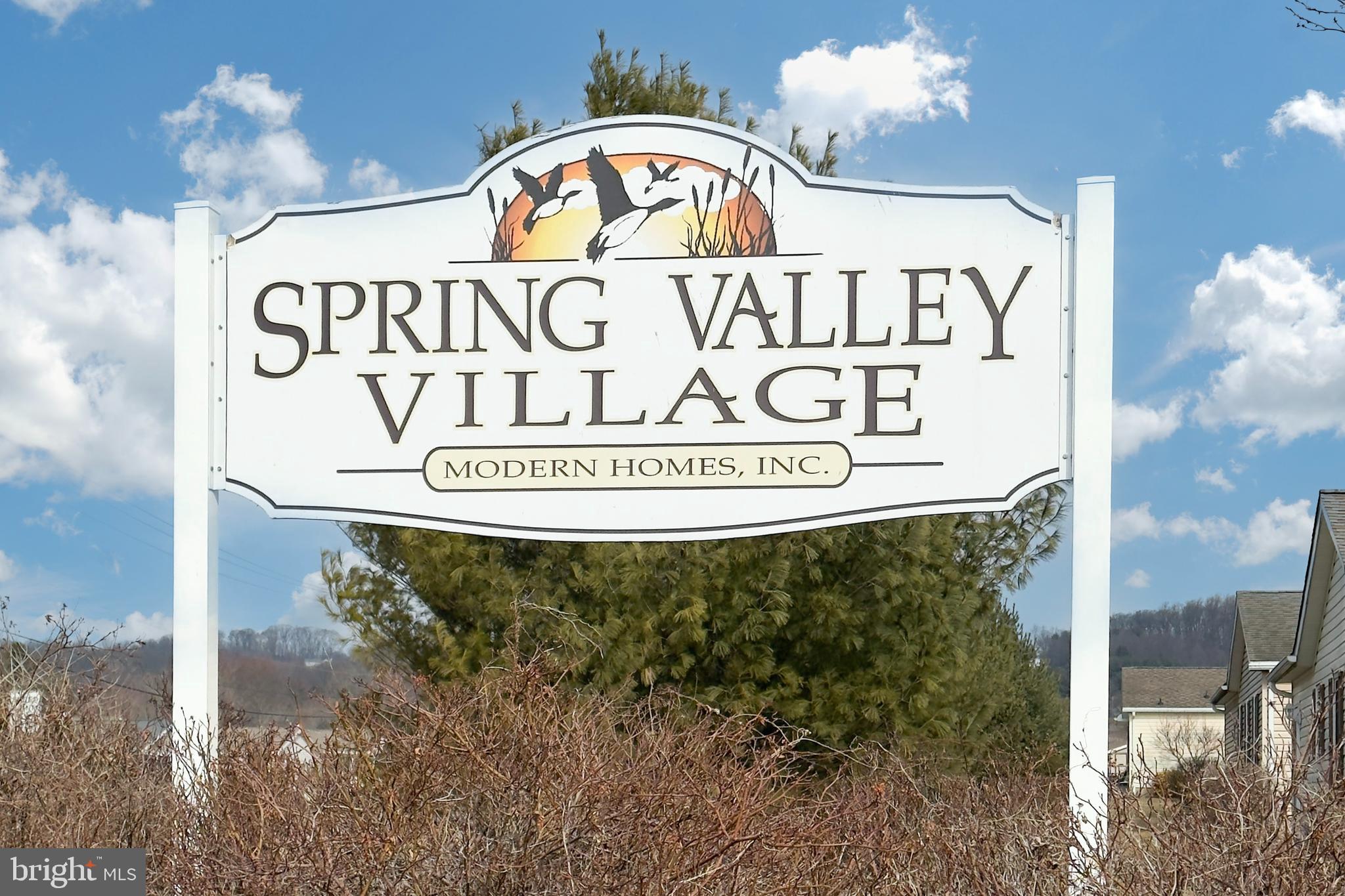 SPRING VALLEY VILLAG - Residential