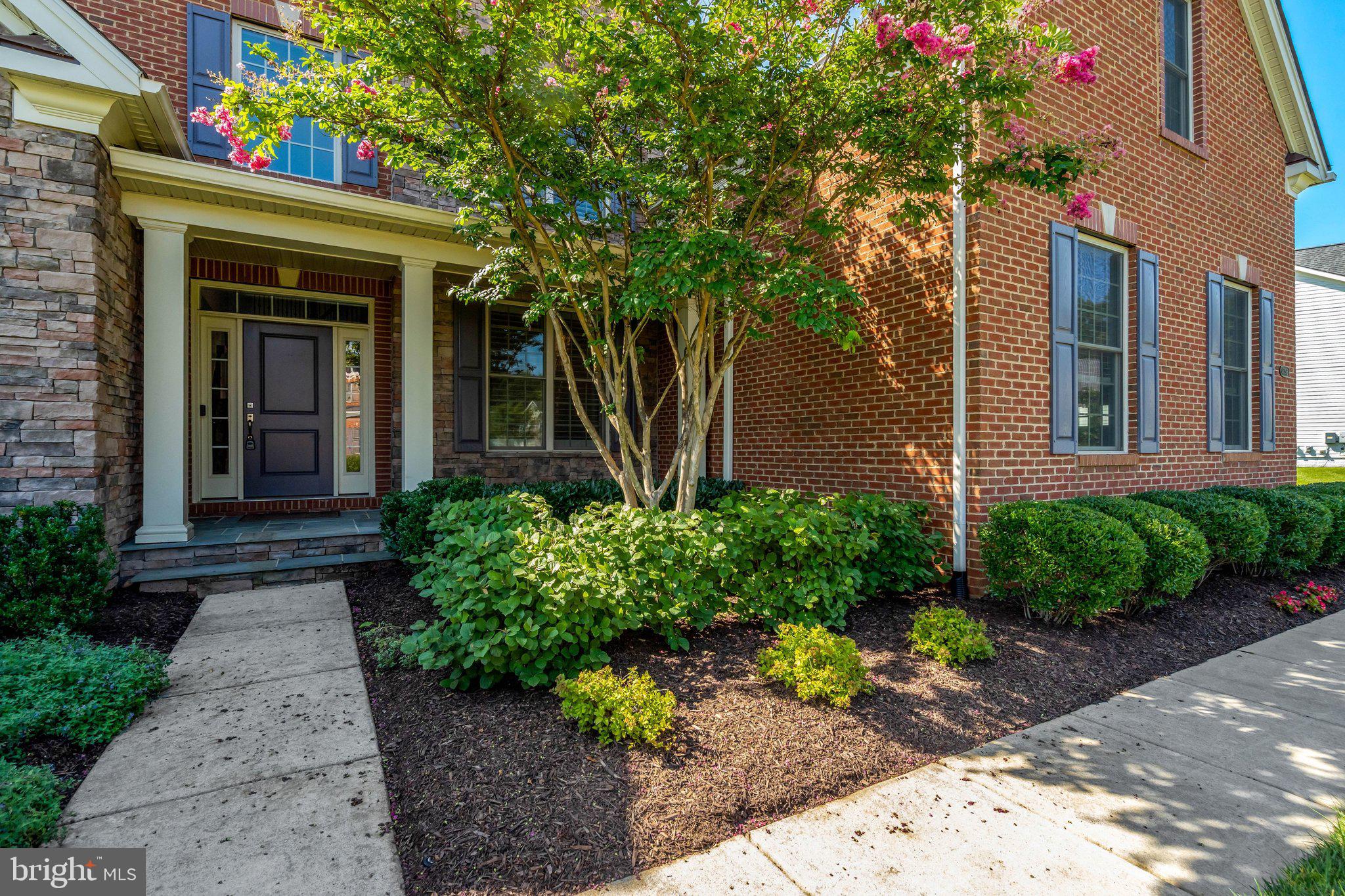 41356 LAVENDER BREEZE CIRCLE
