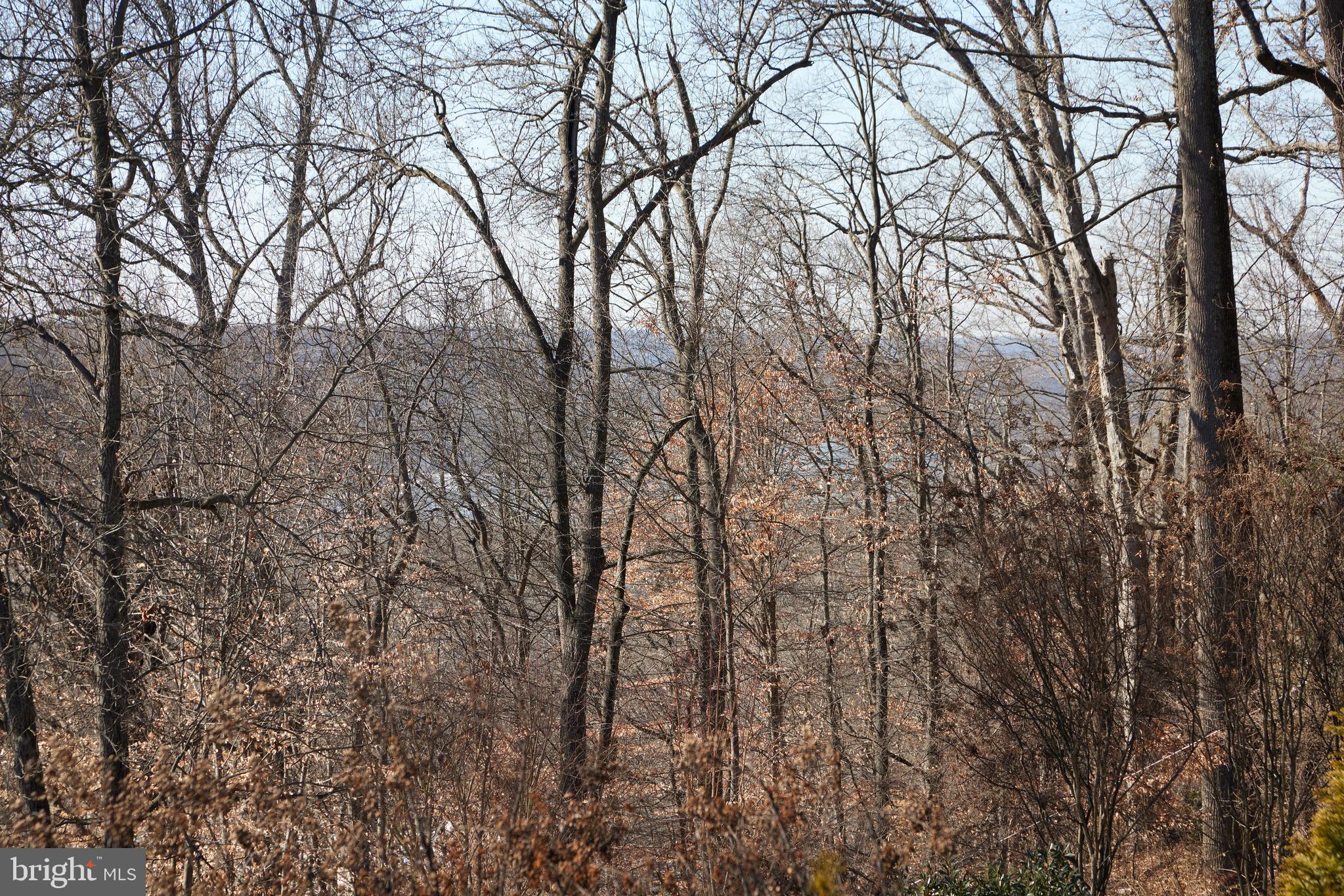 TULIP HILL - Residential