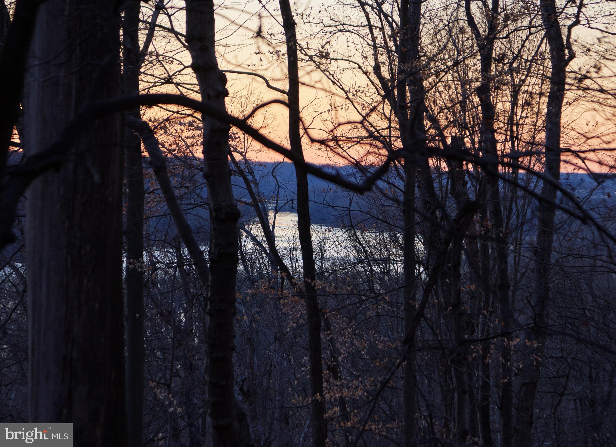 TULIP HILL - Residential