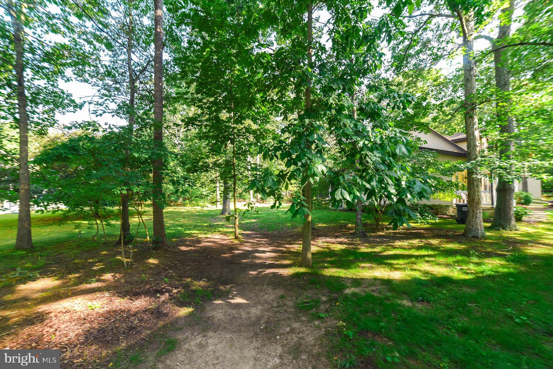 HICKORY NUT OF WILDEWOOD - Residential