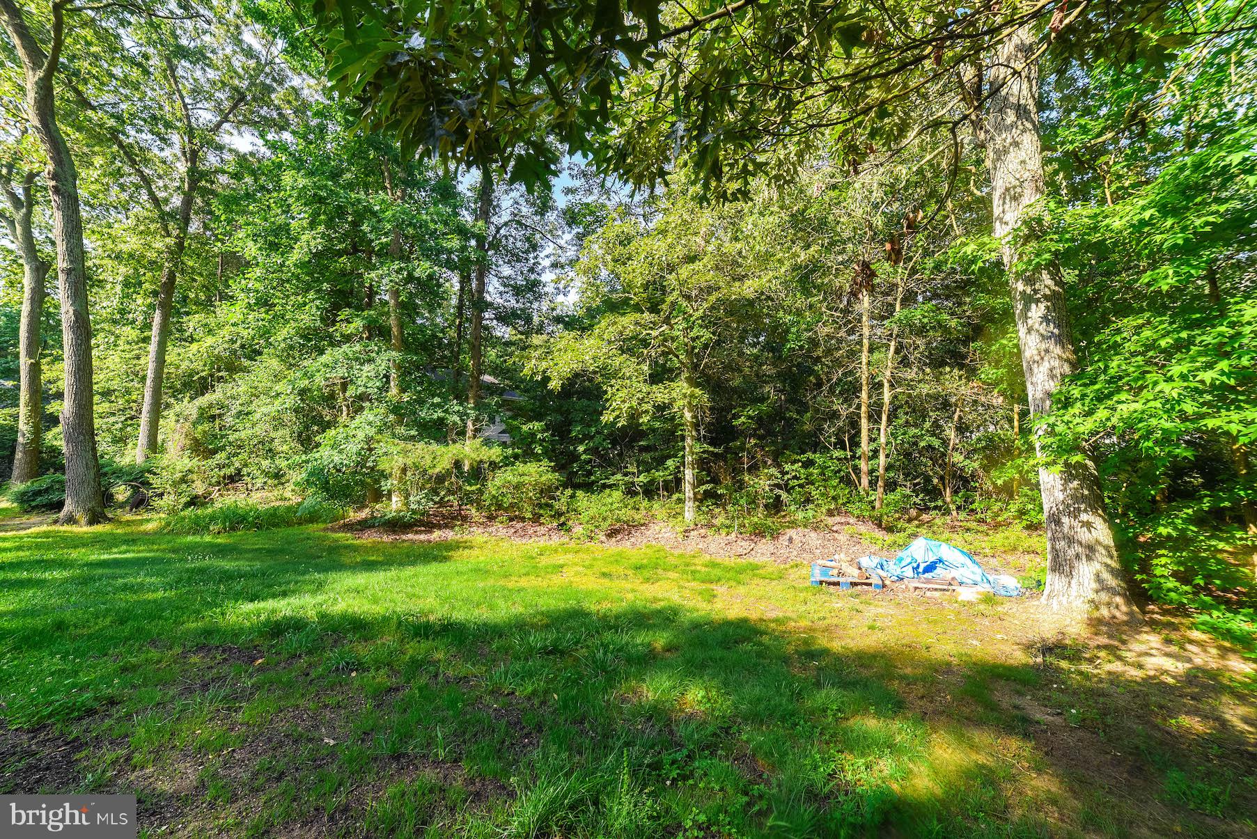 HICKORY NUT OF WILDEWOOD - Residential