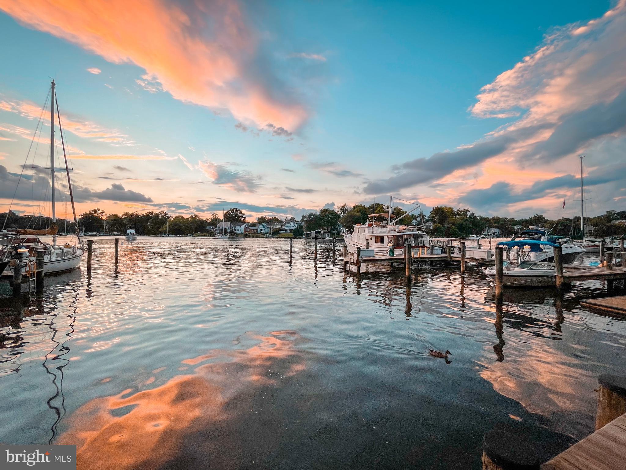 SHEARWATER - Residential