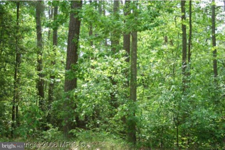 KINGS HIGHWAY - Land