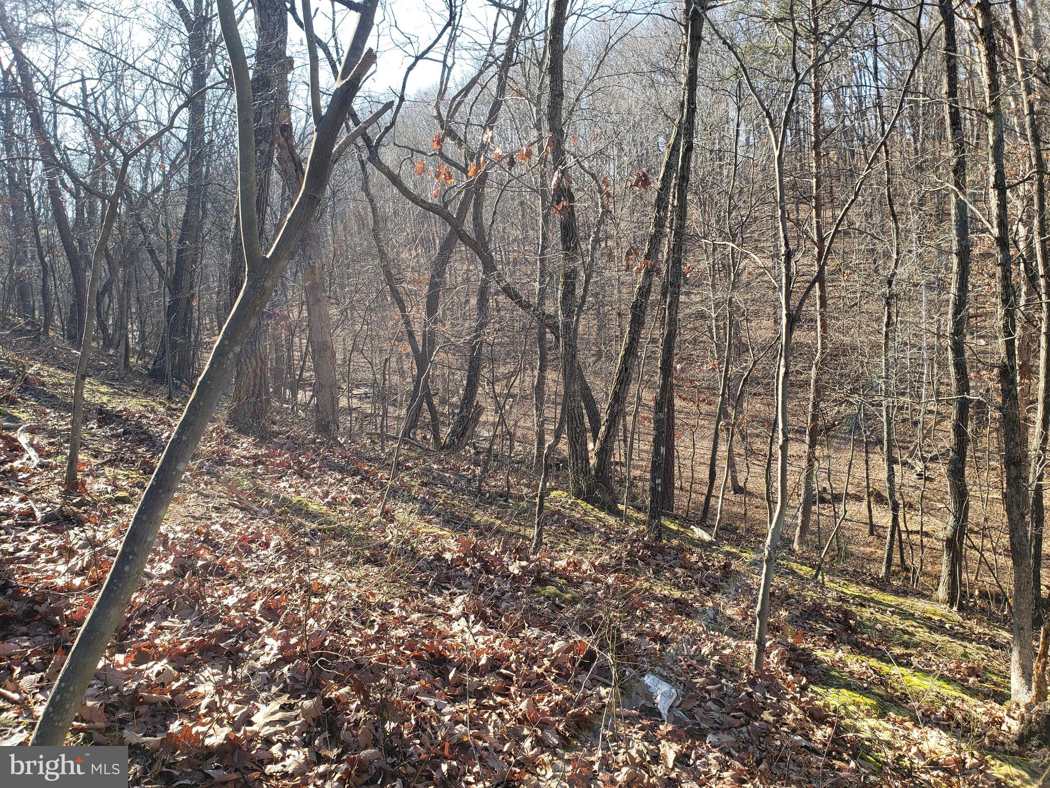 OAK FOREST SUBDIVISION - Residential