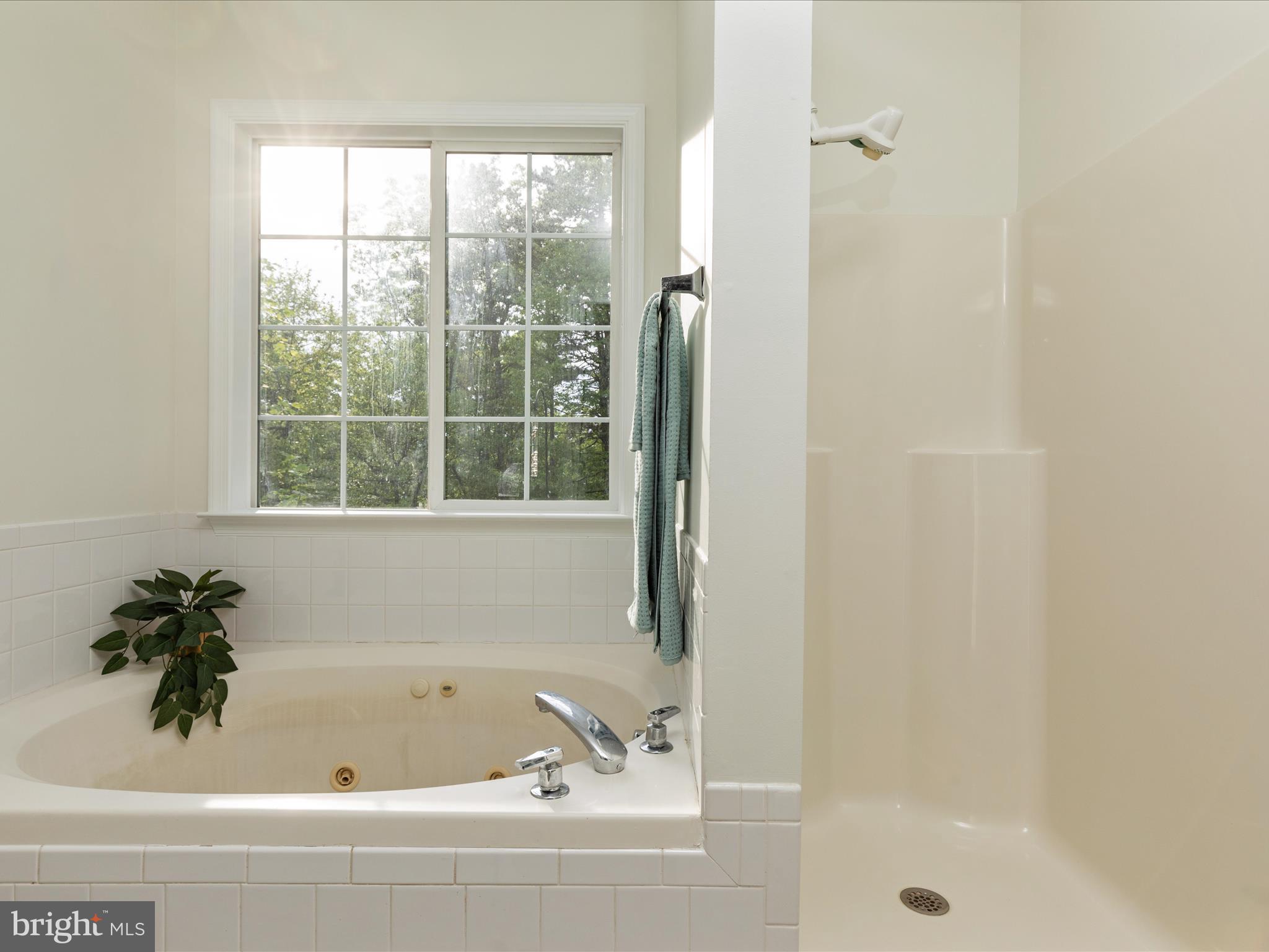 SHANNONDALE - Residential