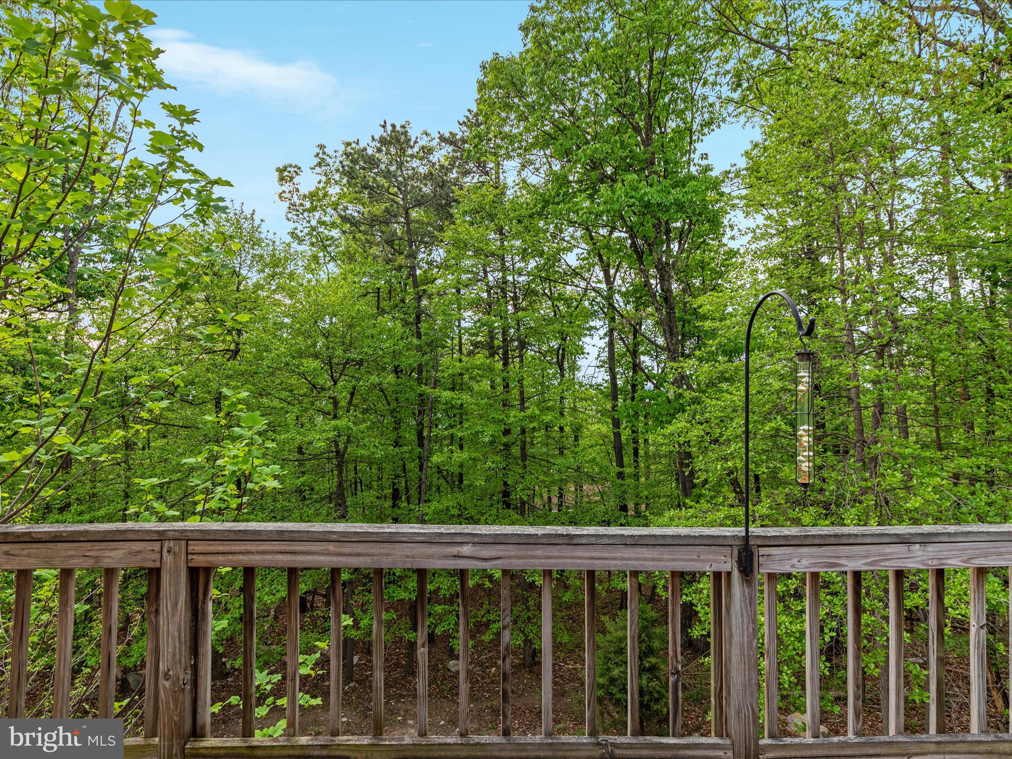 SHANNONDALE - Residential