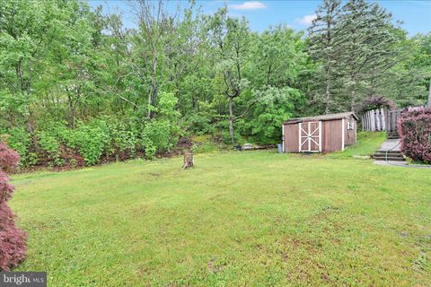 Tiny photo for 2001 Chestnut Street, POTTSVILLE, PA 17901 (MLS # PASK2027344)