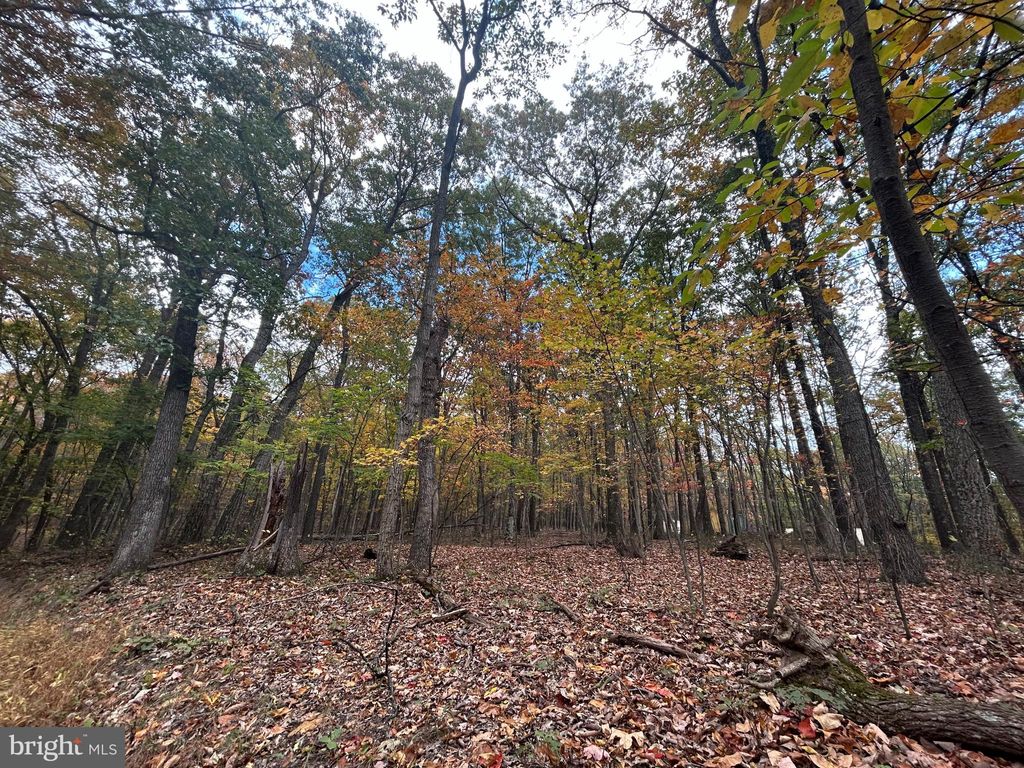 Photo of Lodge Lane, CROSS JUNCTION, VA 22625 (MLS # VAFV2037586)