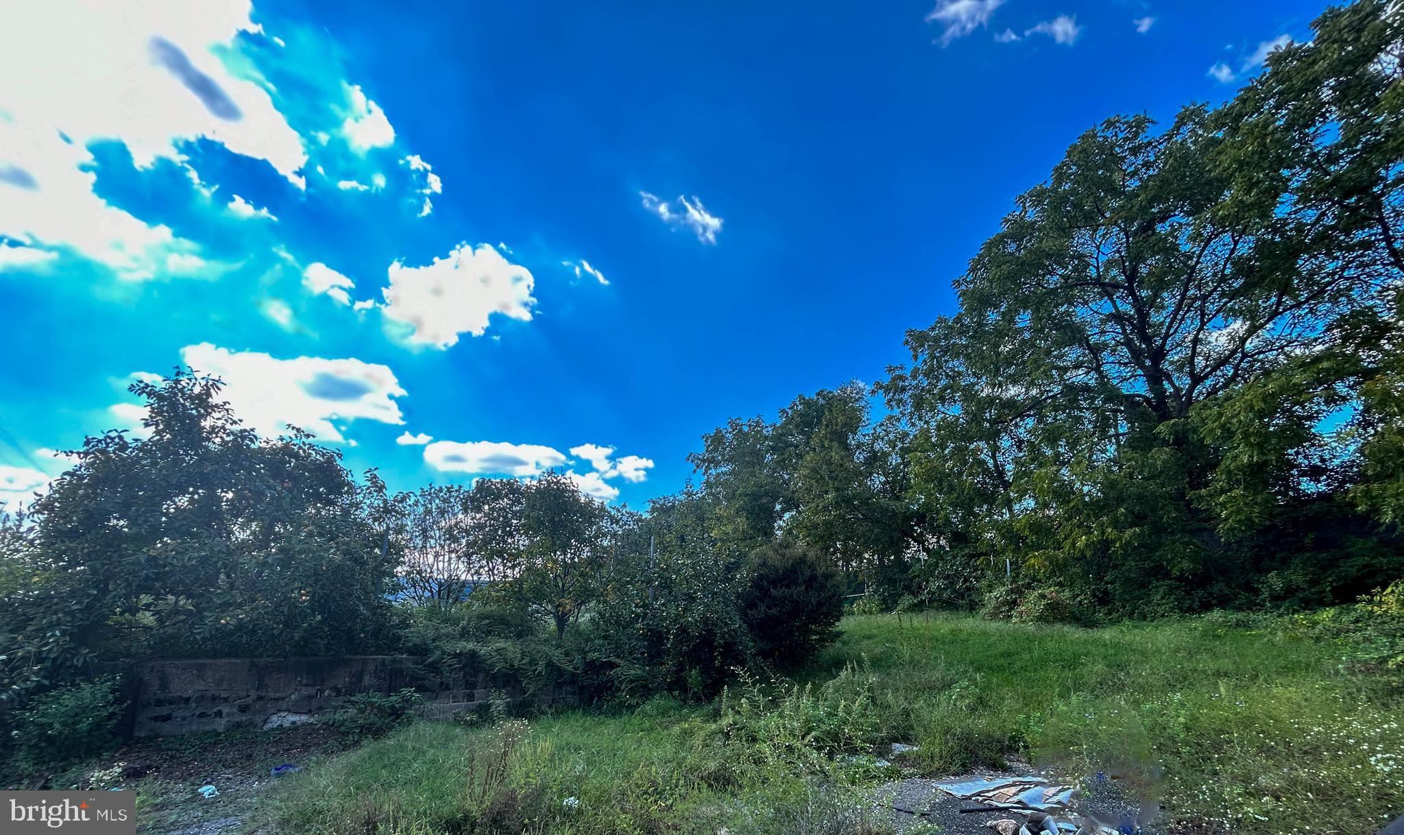 PIGTOWN HISTORIC DISTRICT - Land