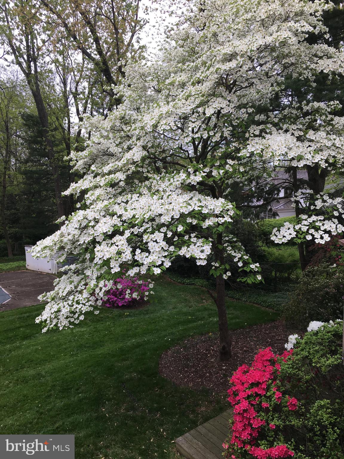 MALVERN HILL - Residential