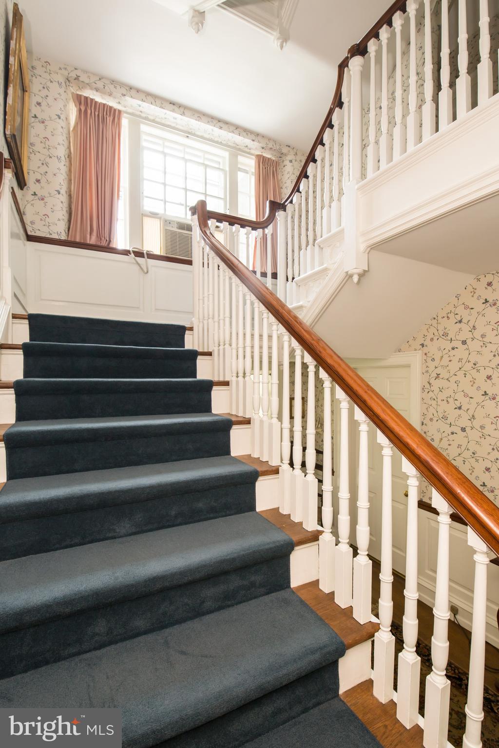 CHESTNUT HILL - Residential