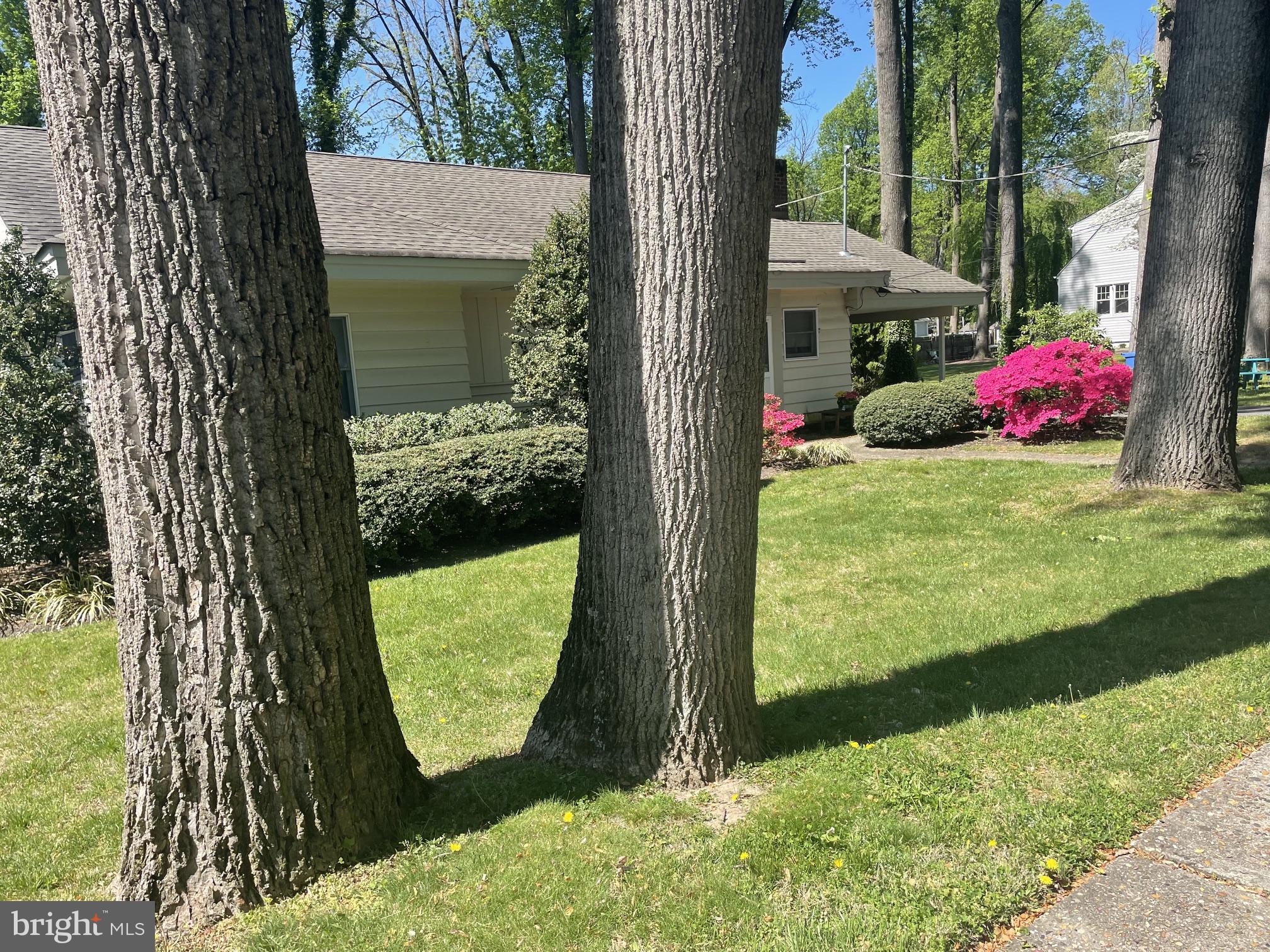 11 OREGON AVENUE