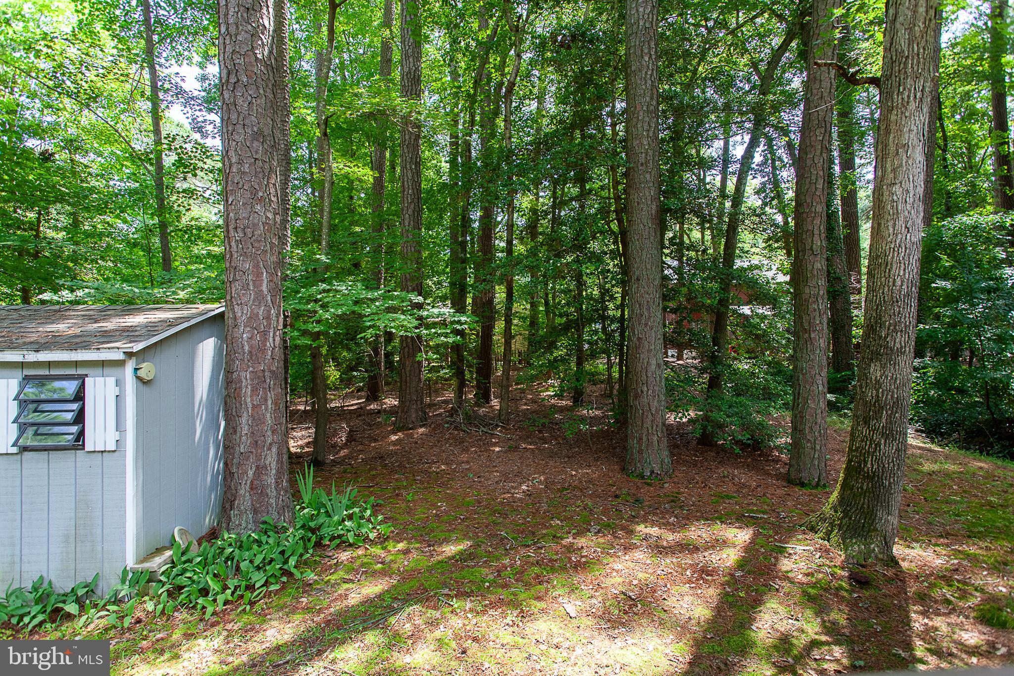 OCEAN PINES - SOMERSET - Residential