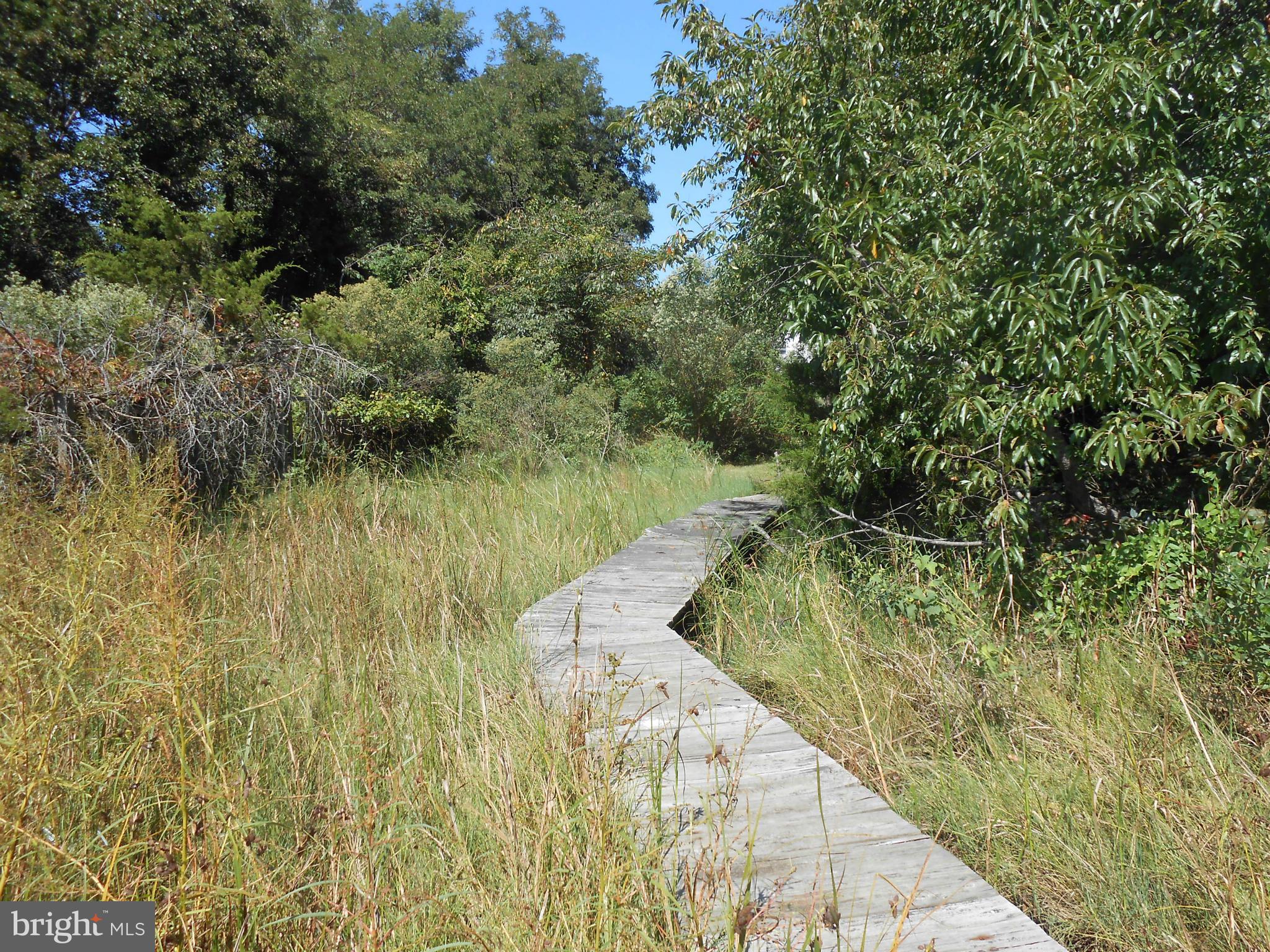 PATUXENT BEACH - Residential