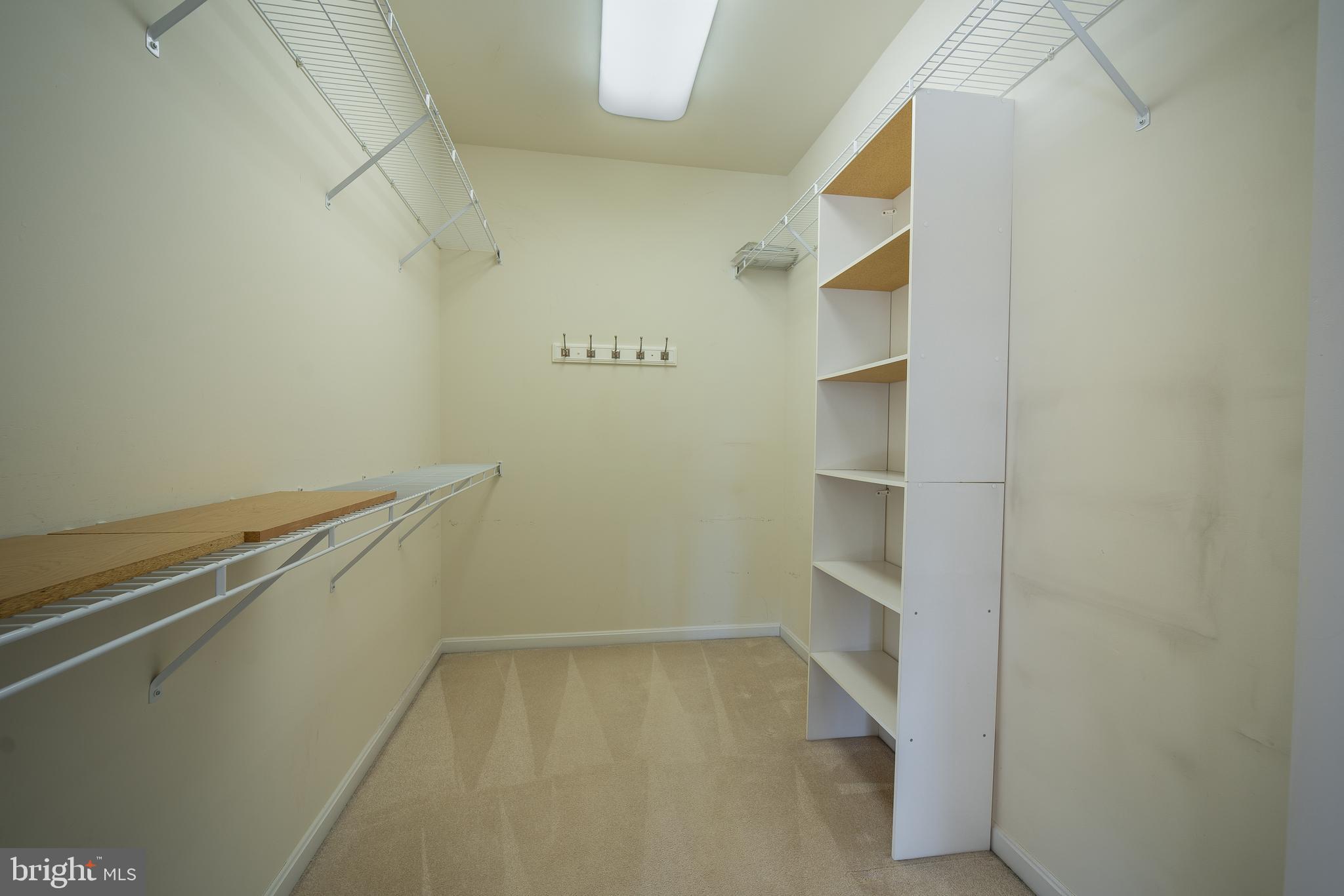 FOREST VIEW - Residential